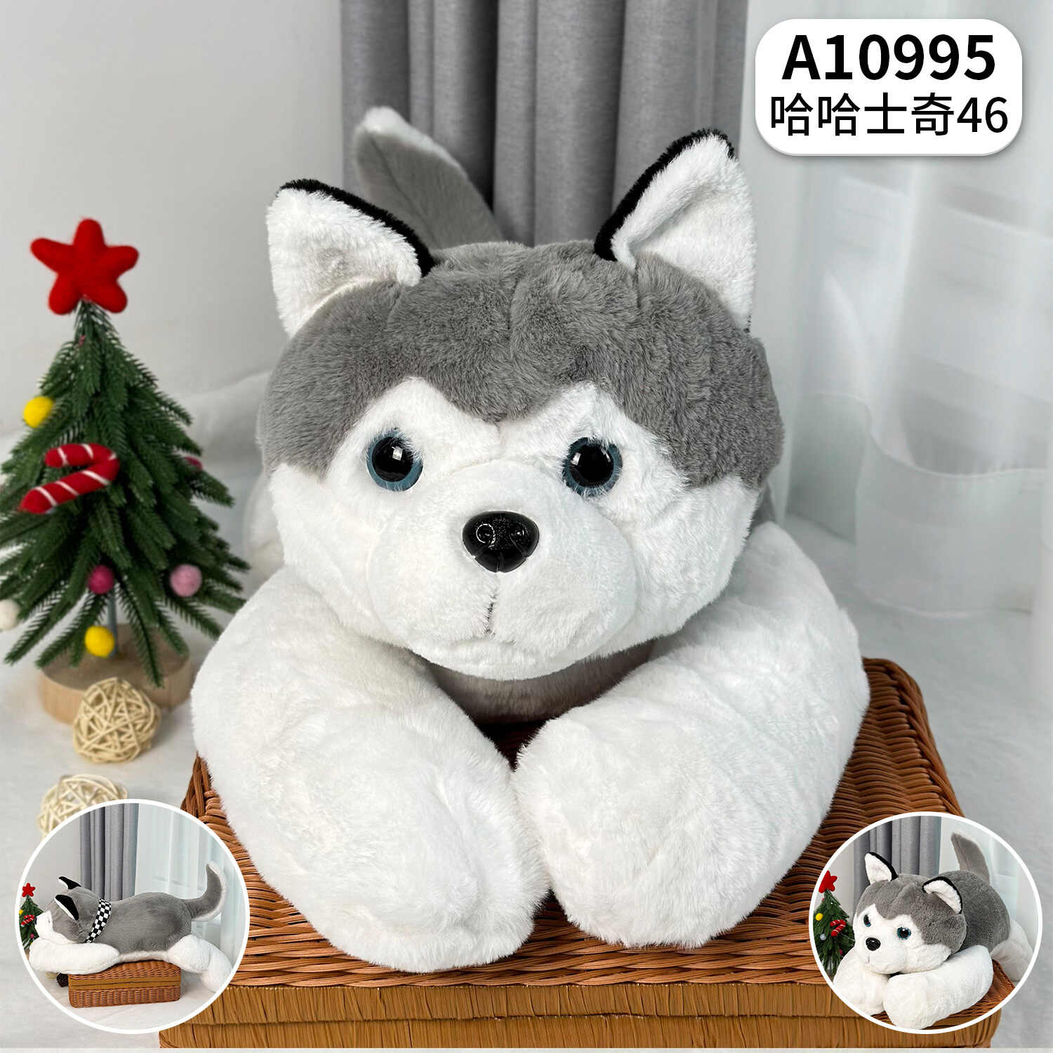 A10995