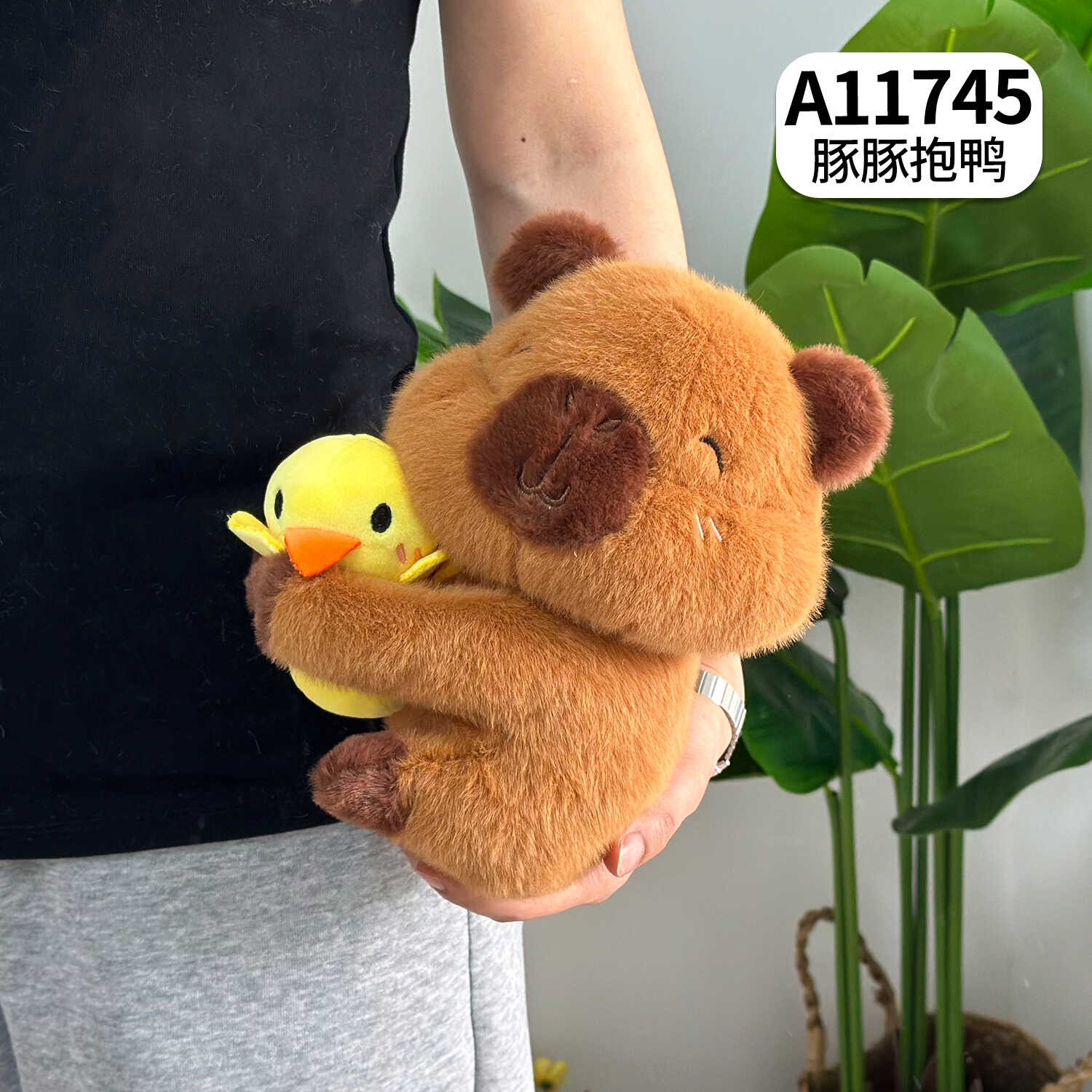 A11745