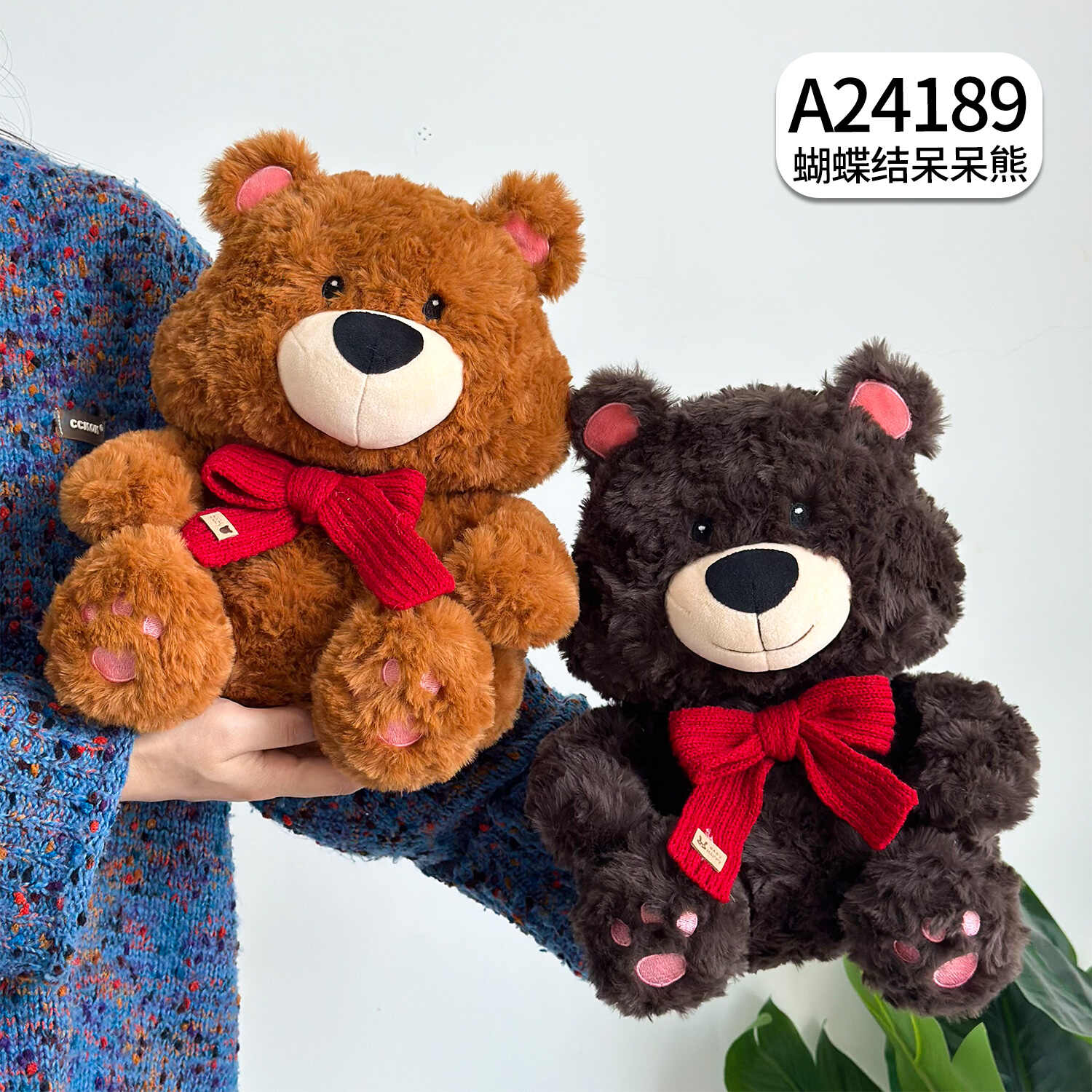 A24189
