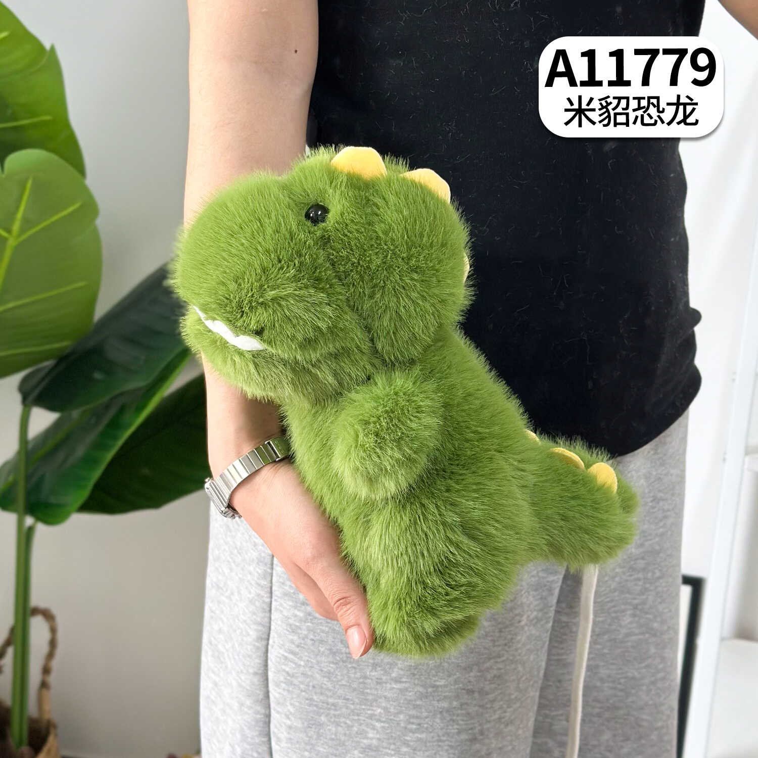 A11779