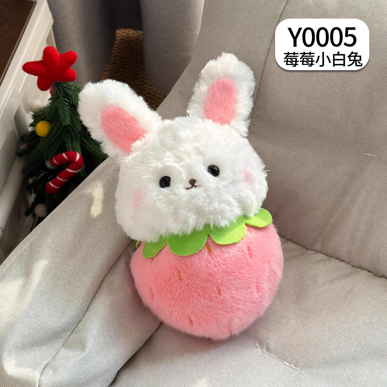 Y0005