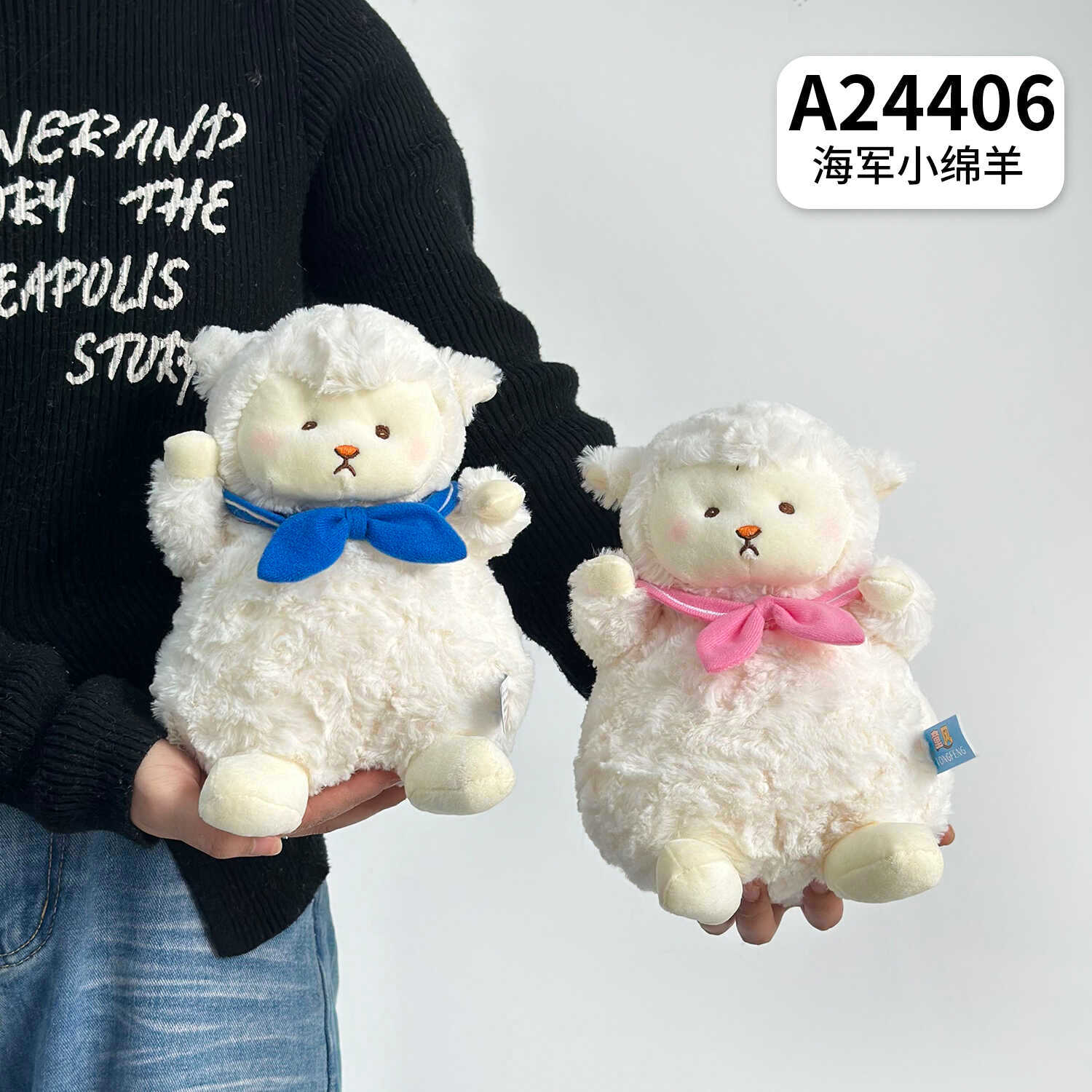 A24406