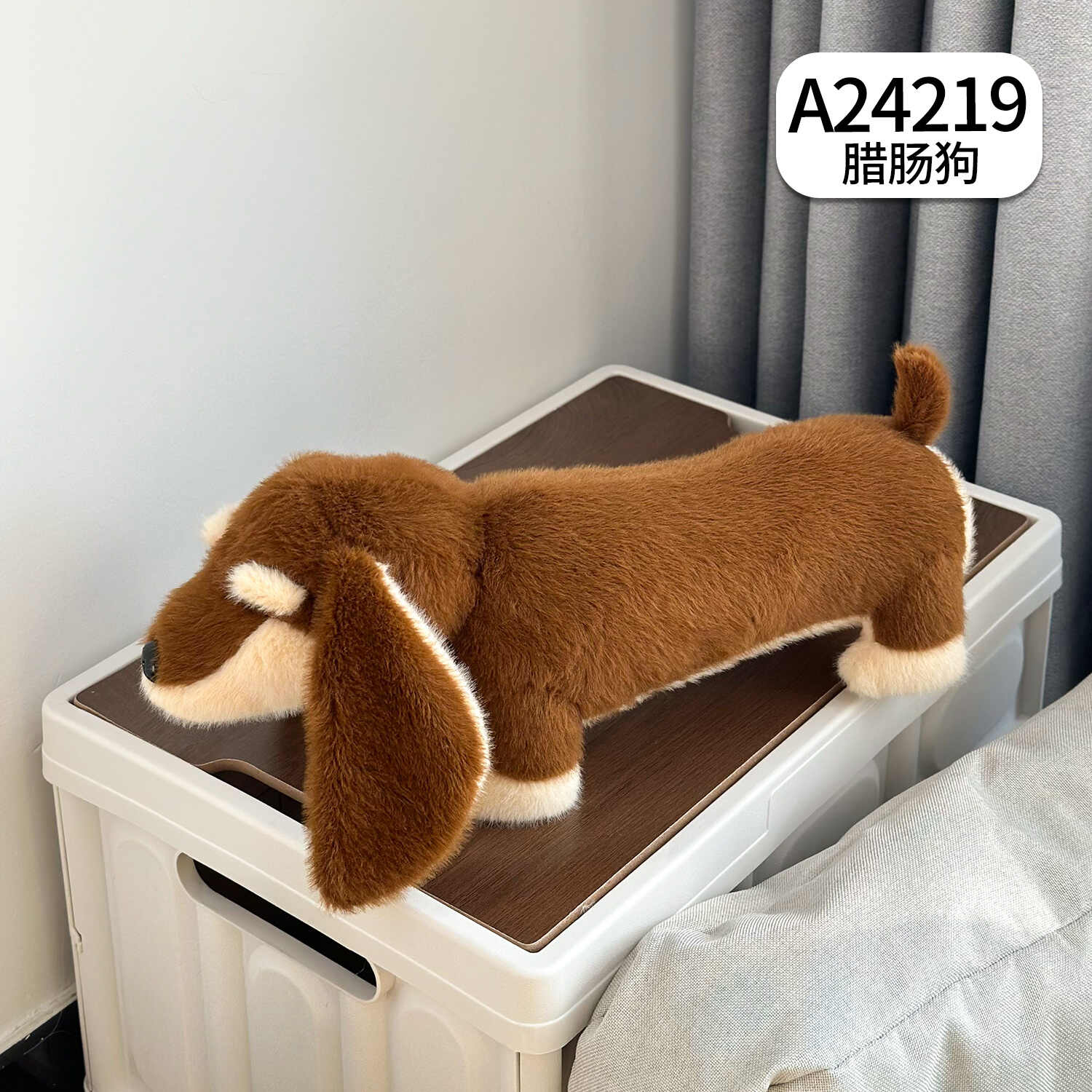 A24219