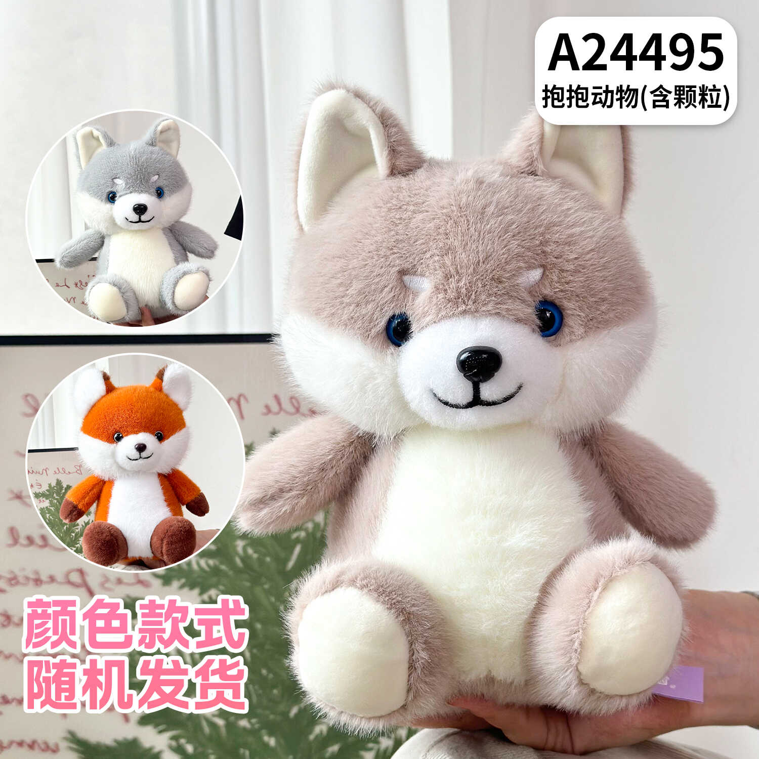 A24495