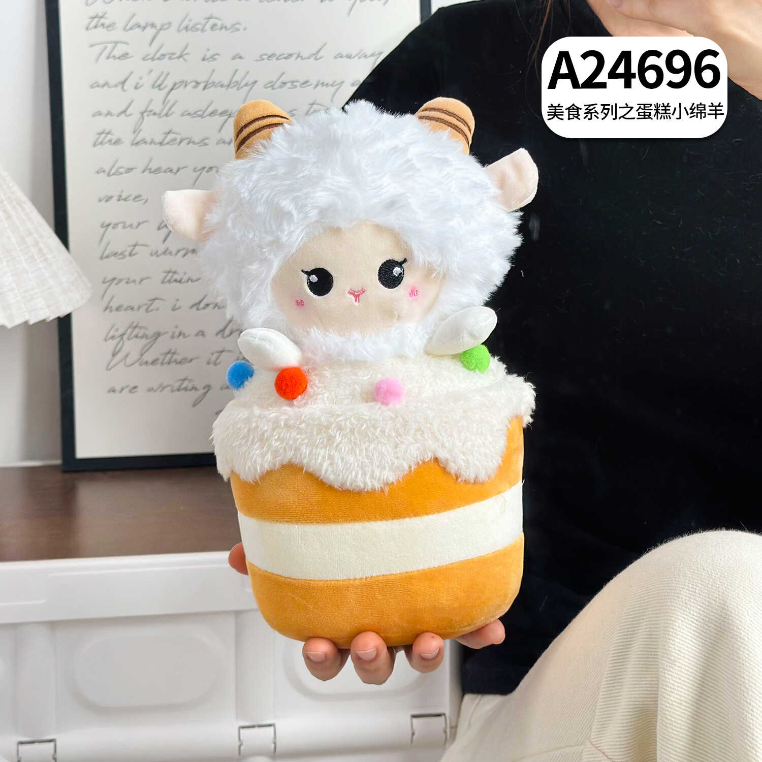 A24696