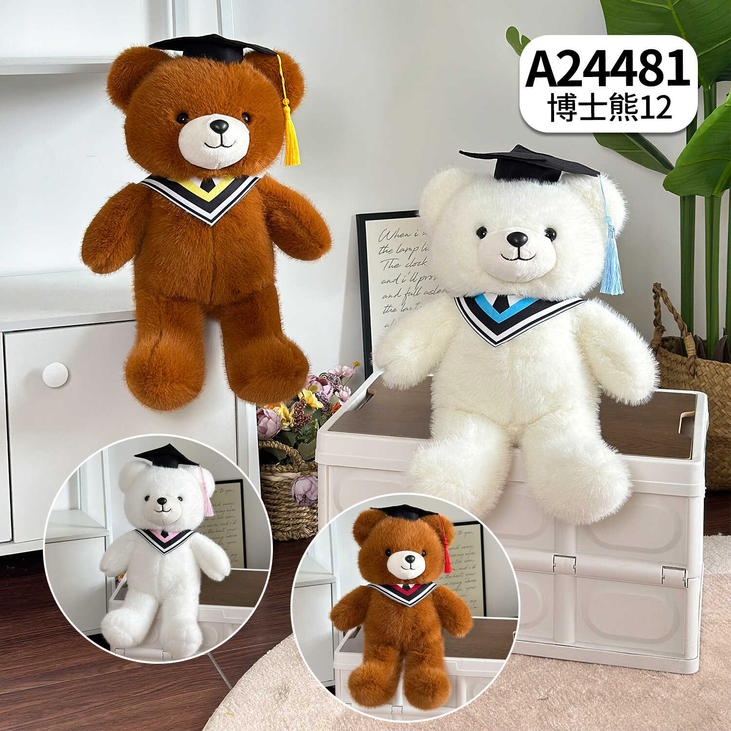 A24481