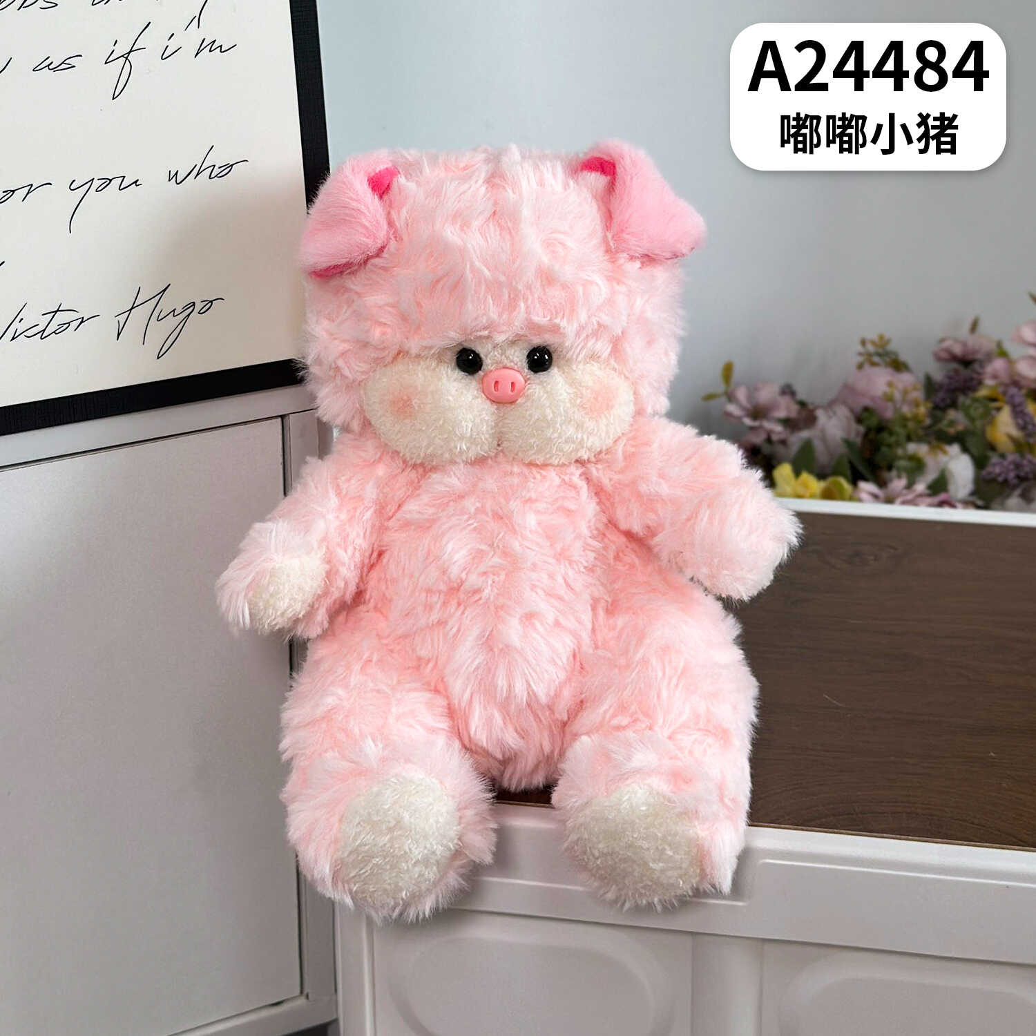 A24484