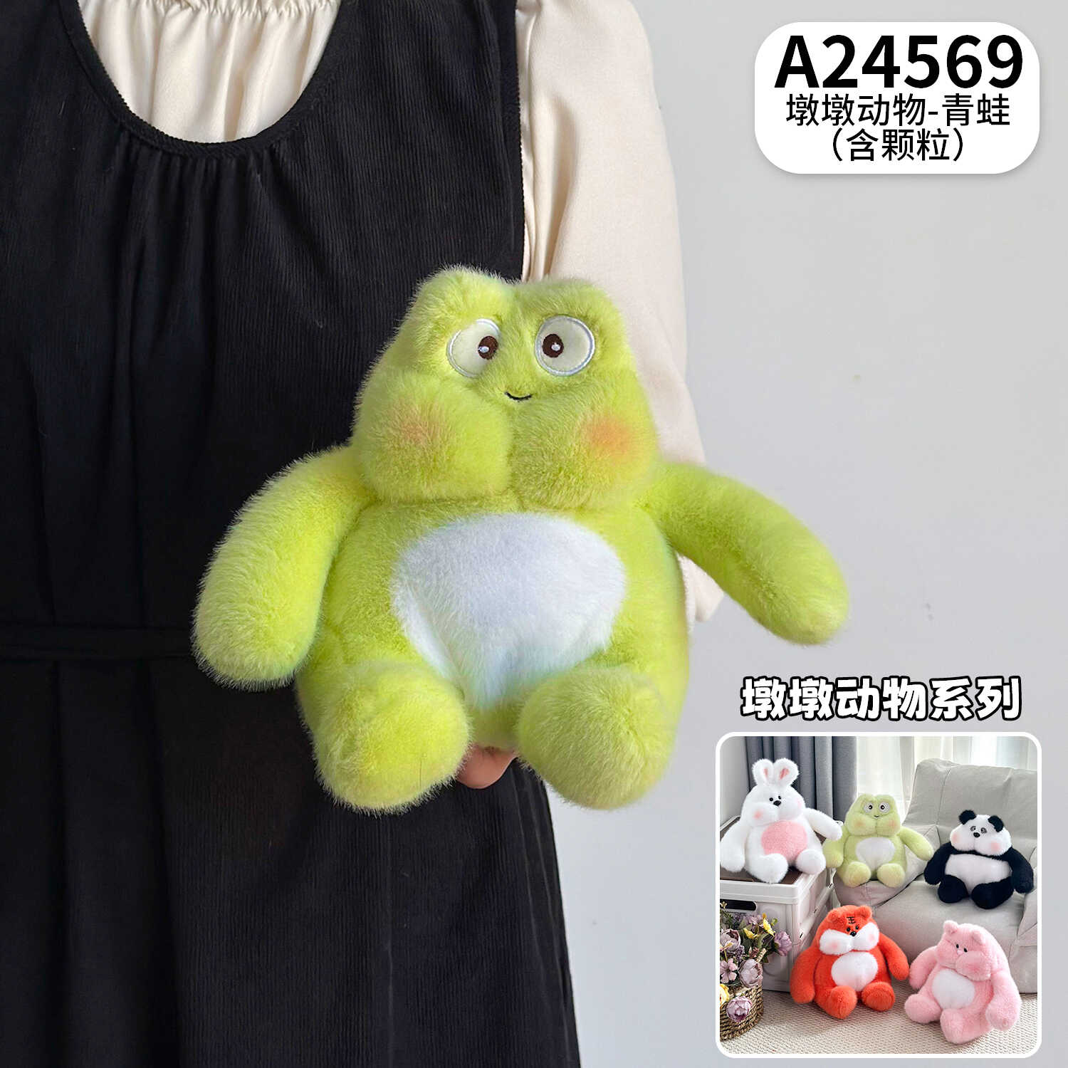 A24569