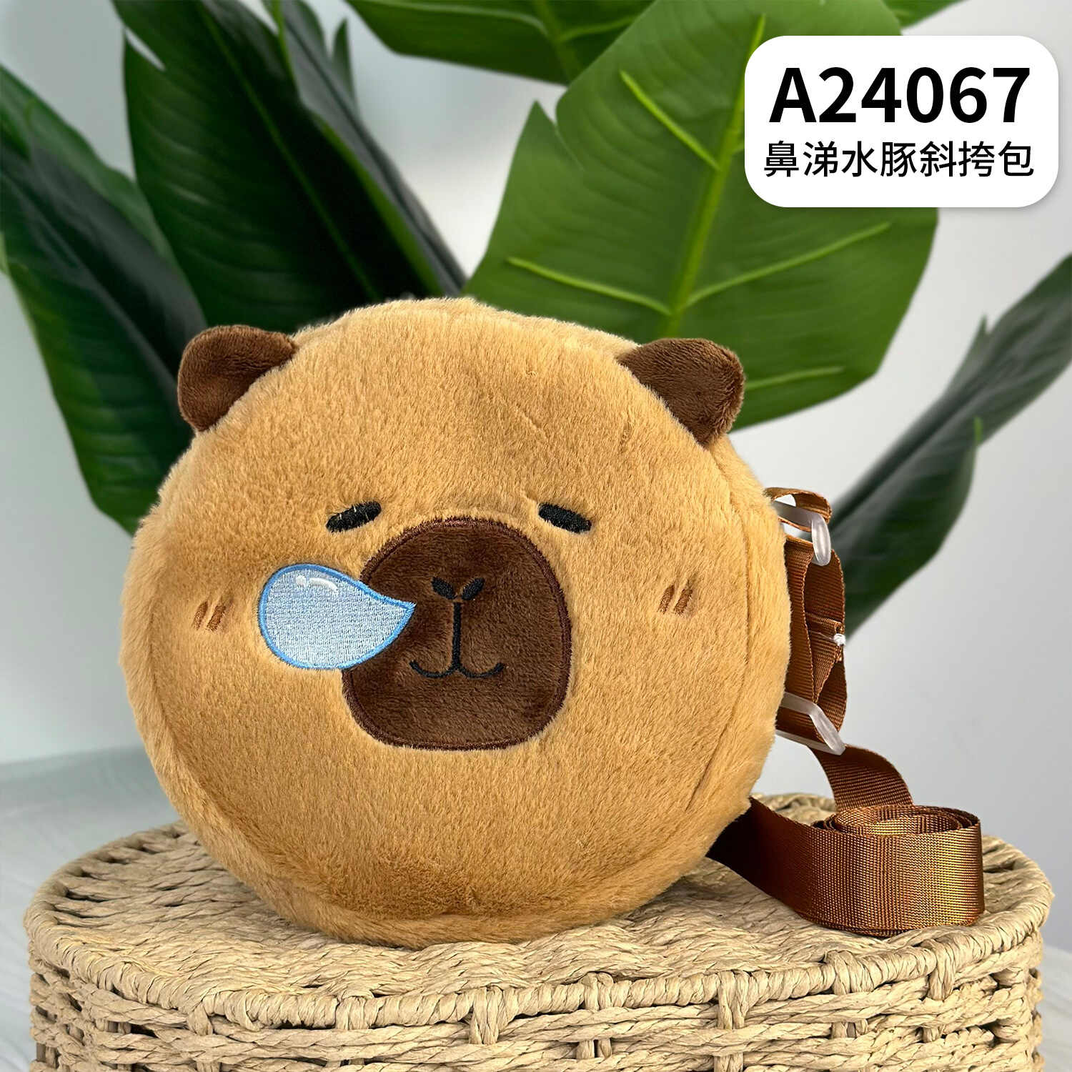 A24067
