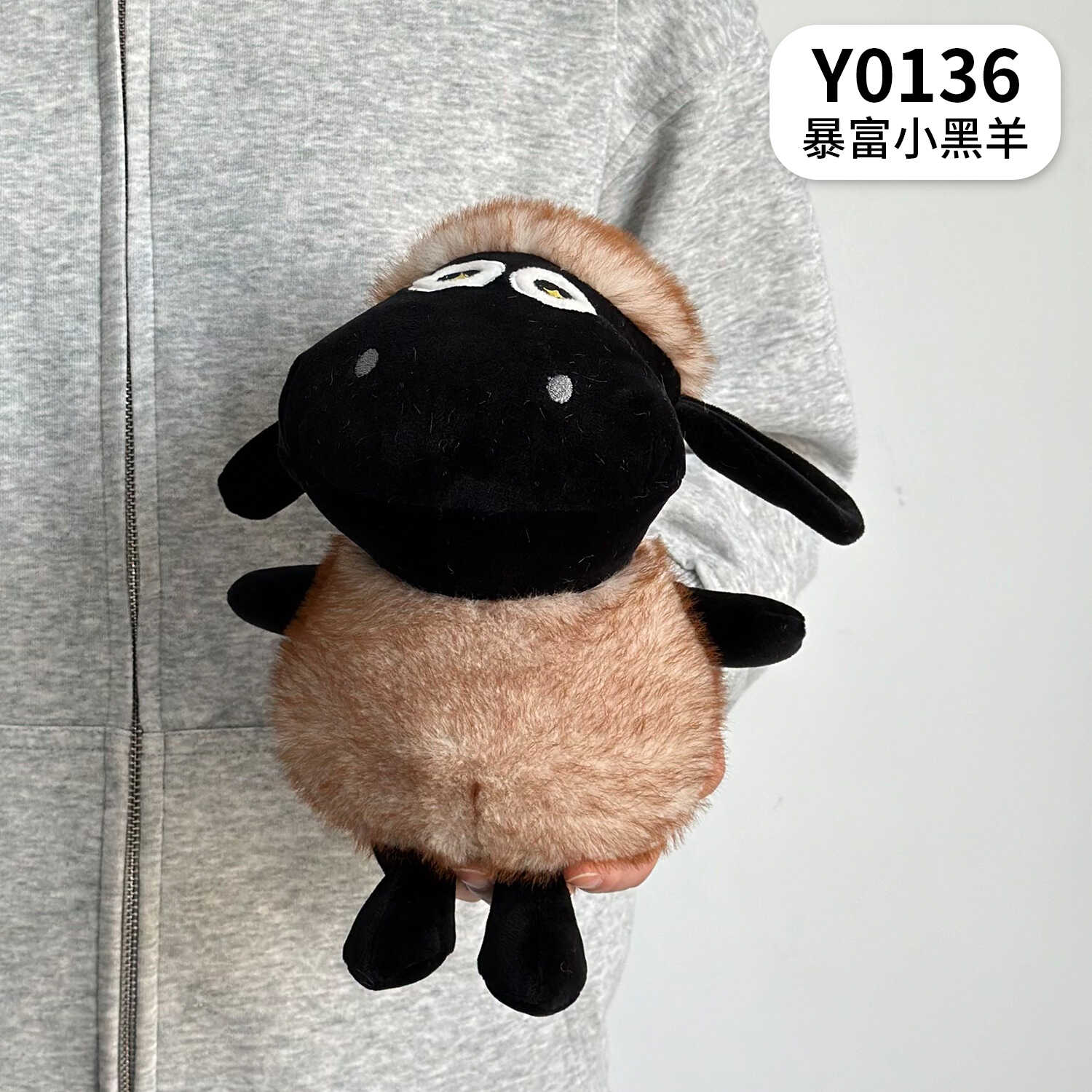 Y0136