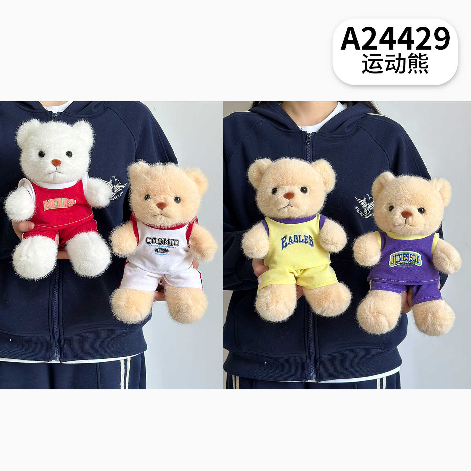 A24429