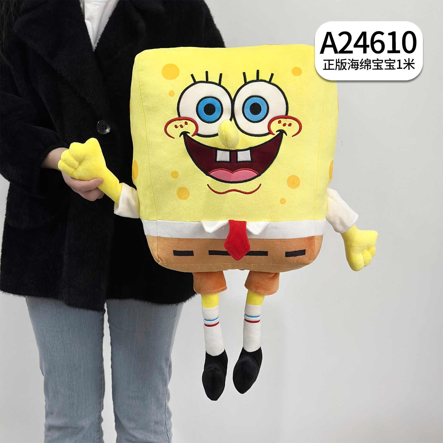 A24610
