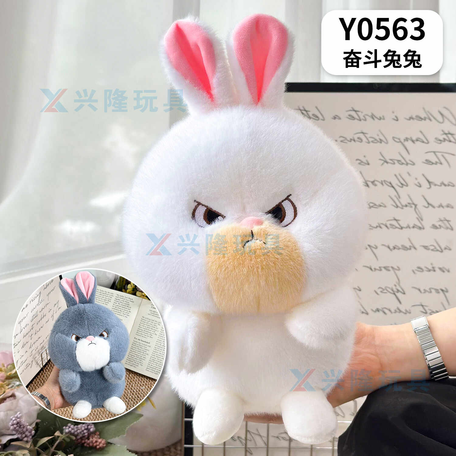 Y0563
