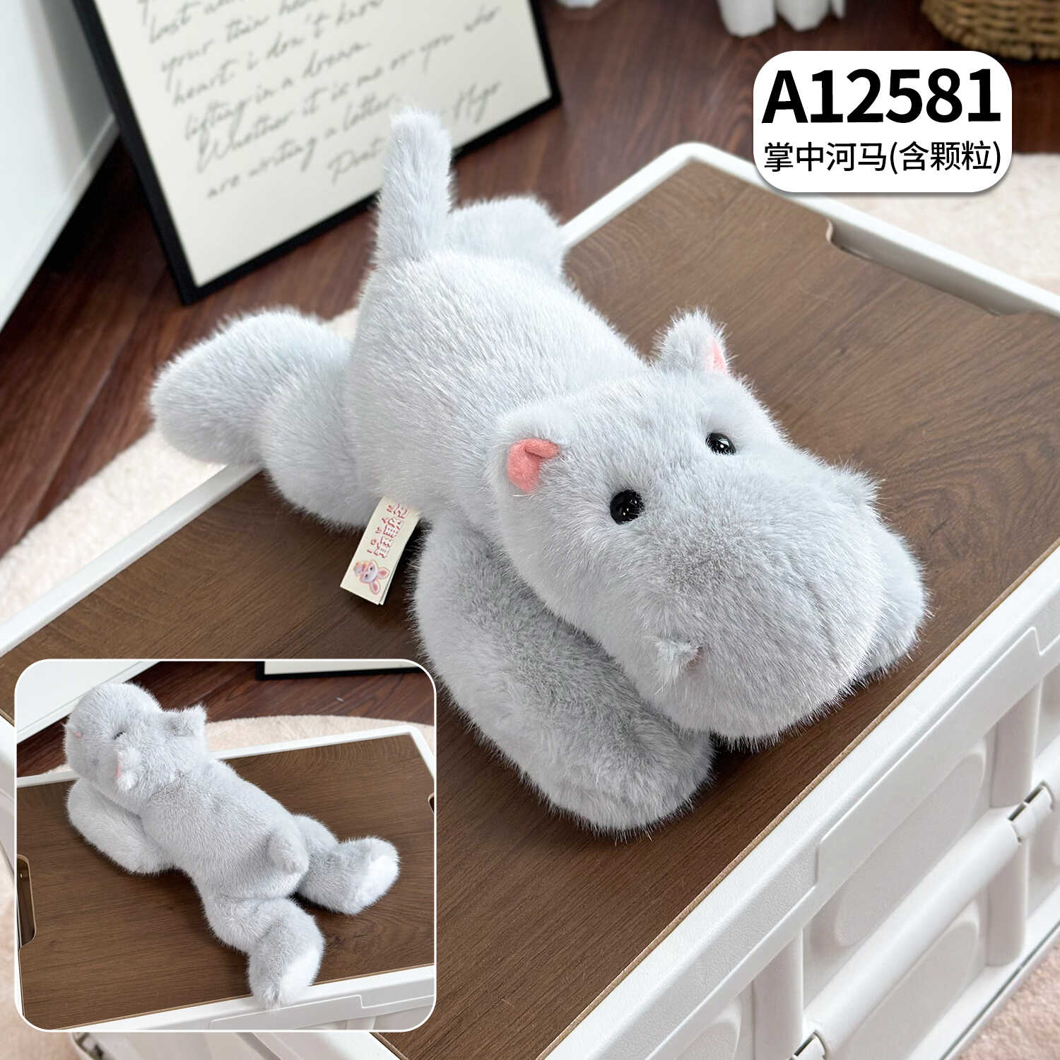 A12581