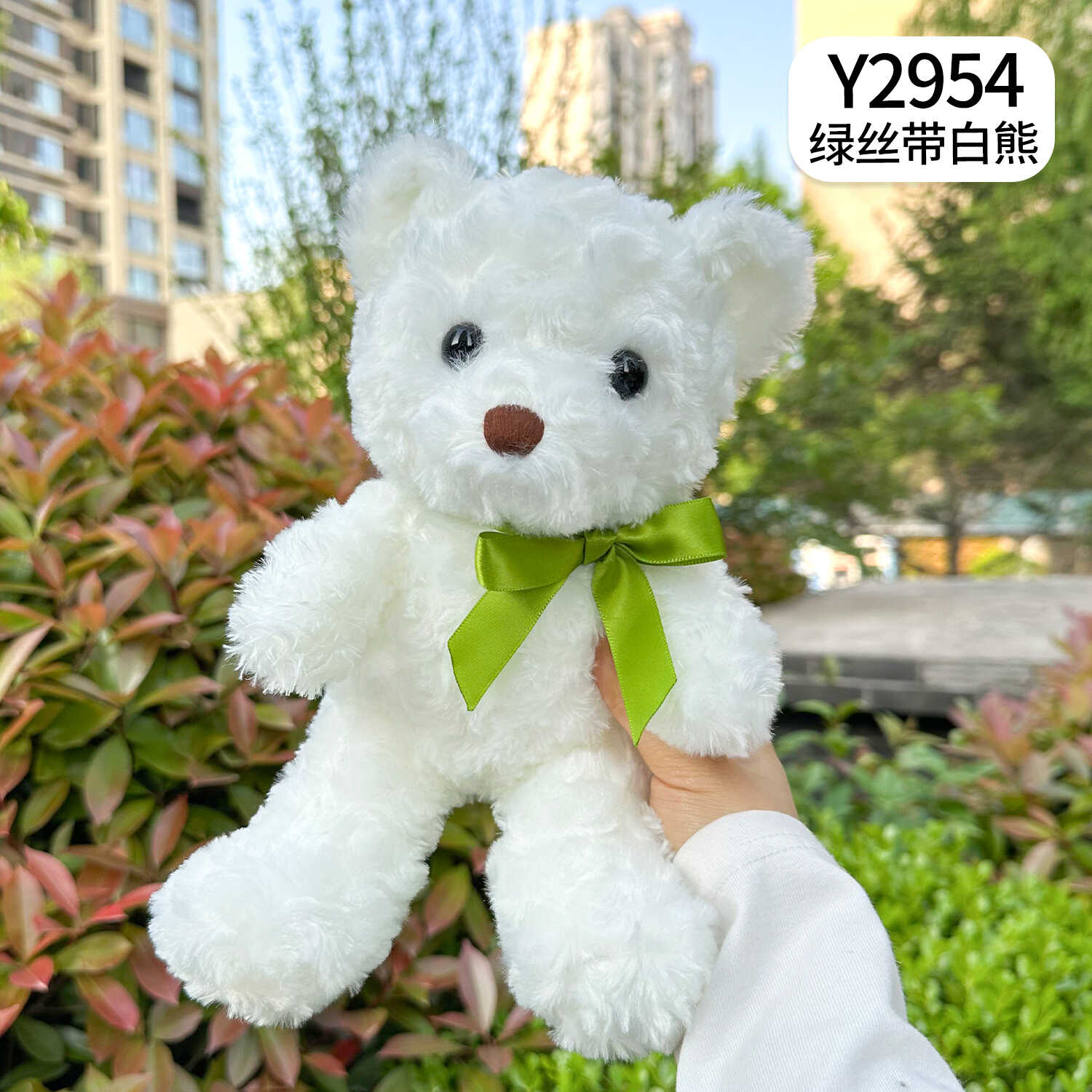 Y2954