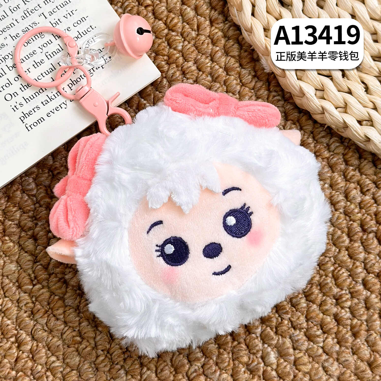 A13419