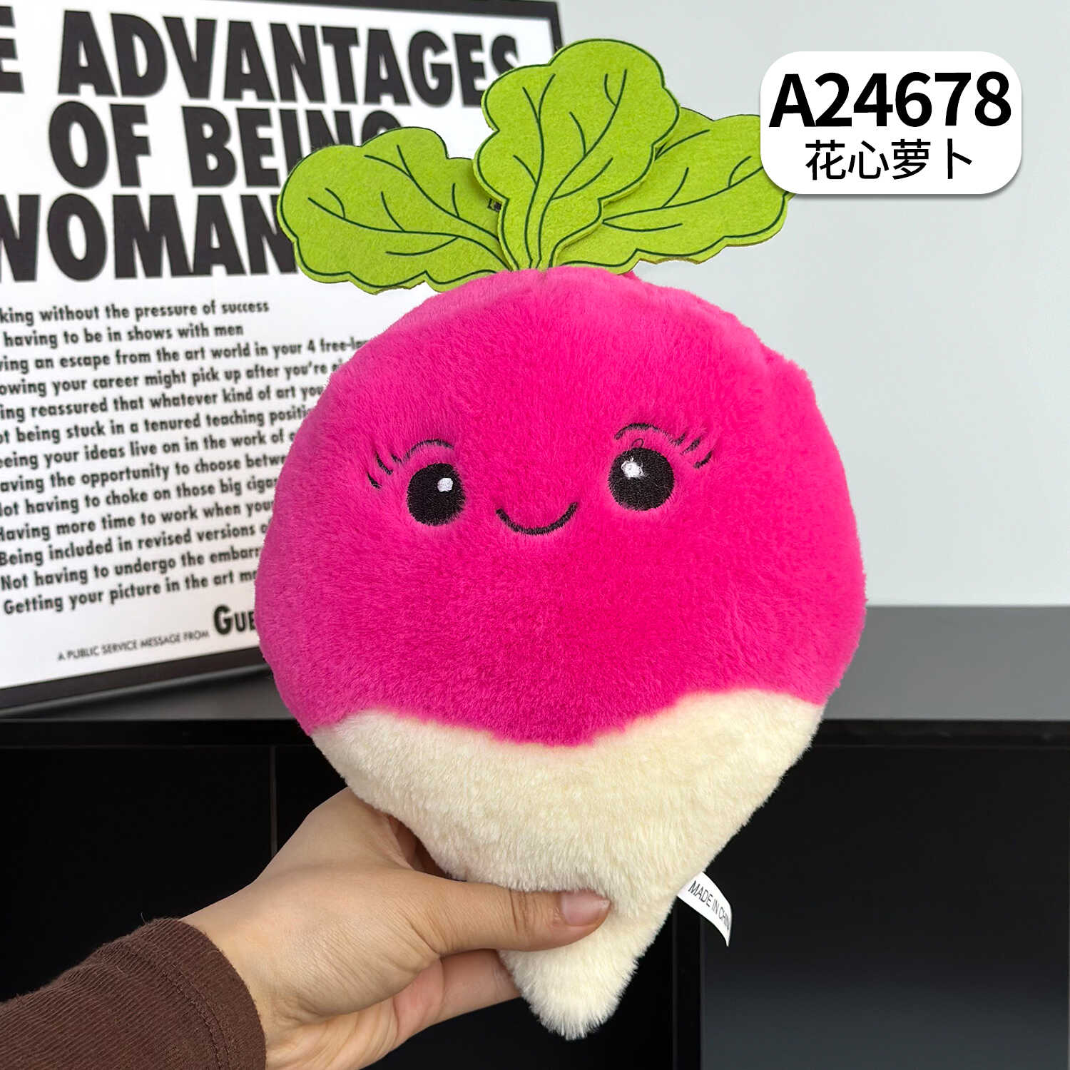 A24678