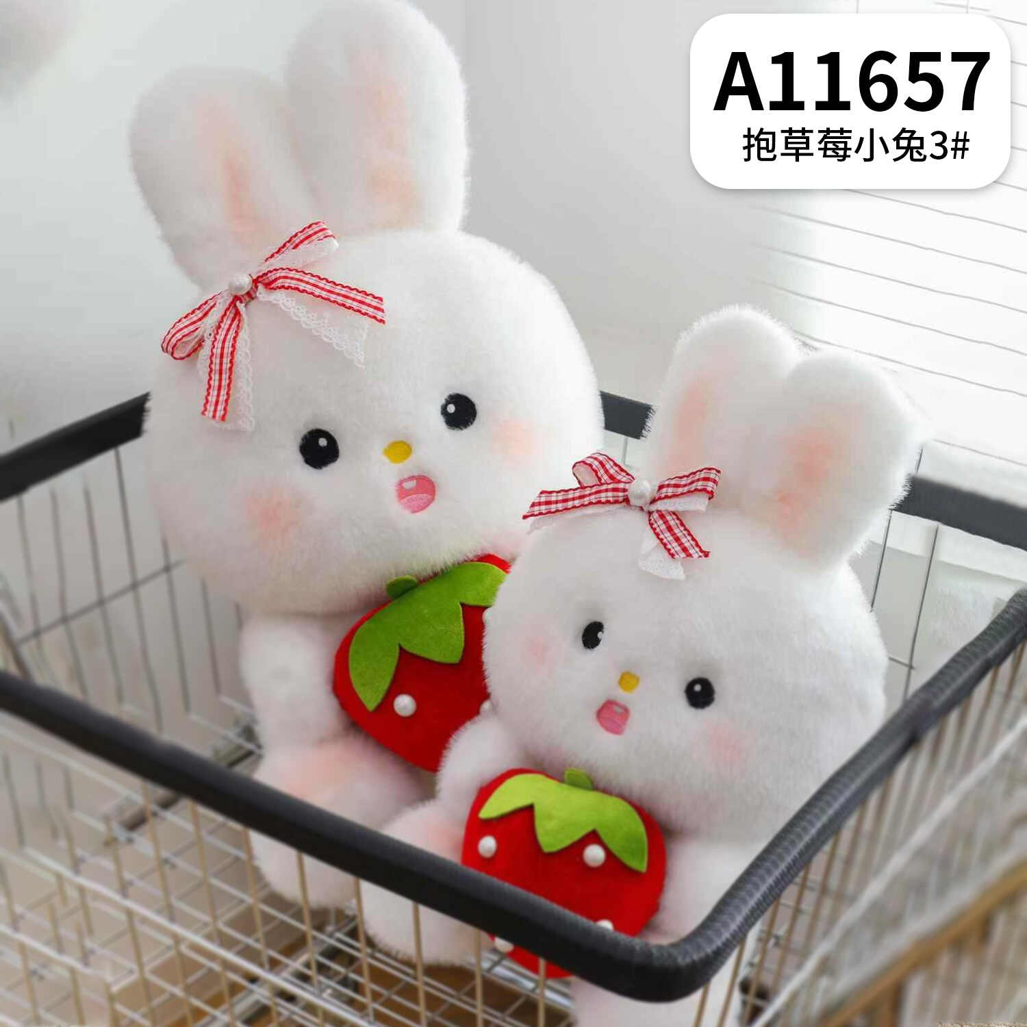 A11657