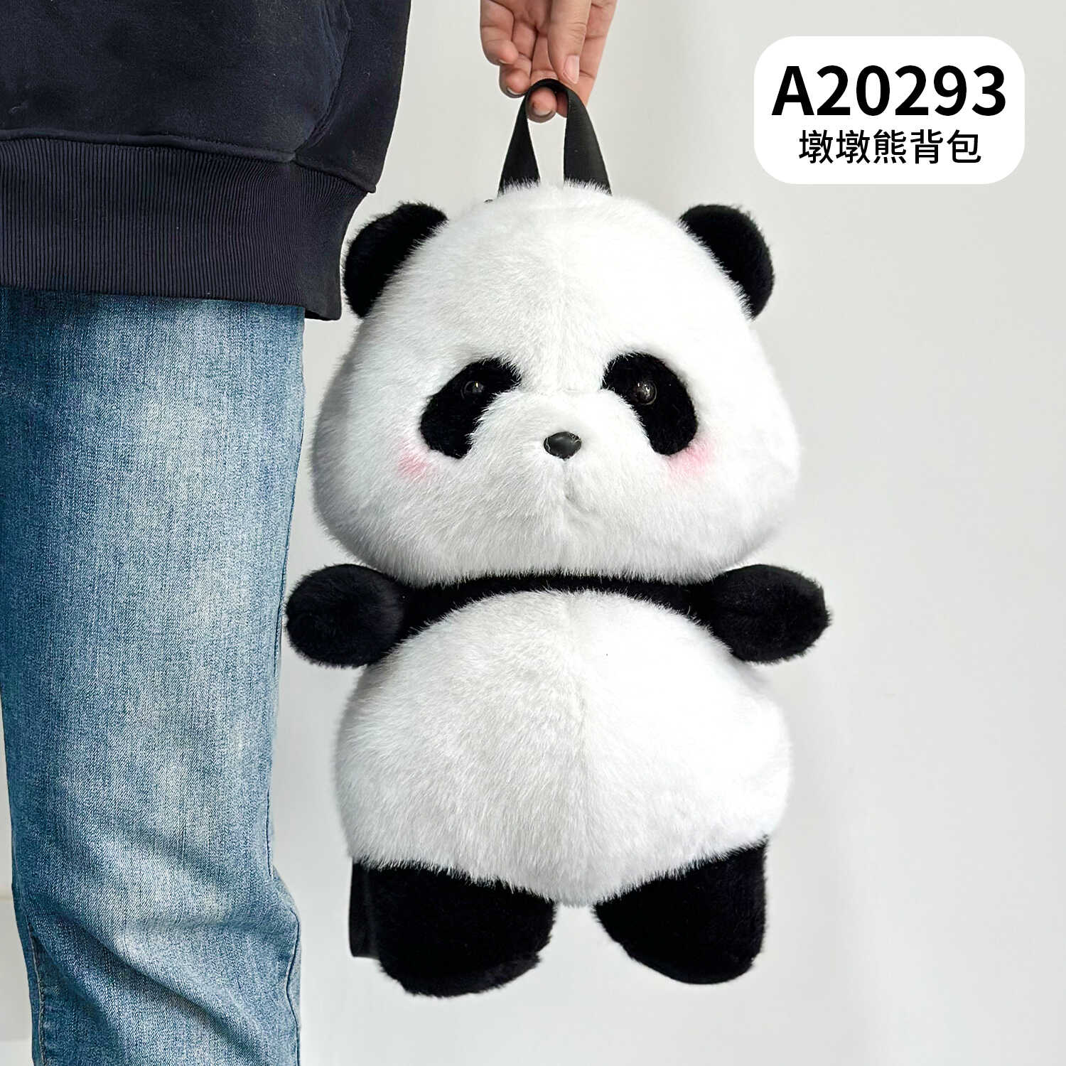 A20293