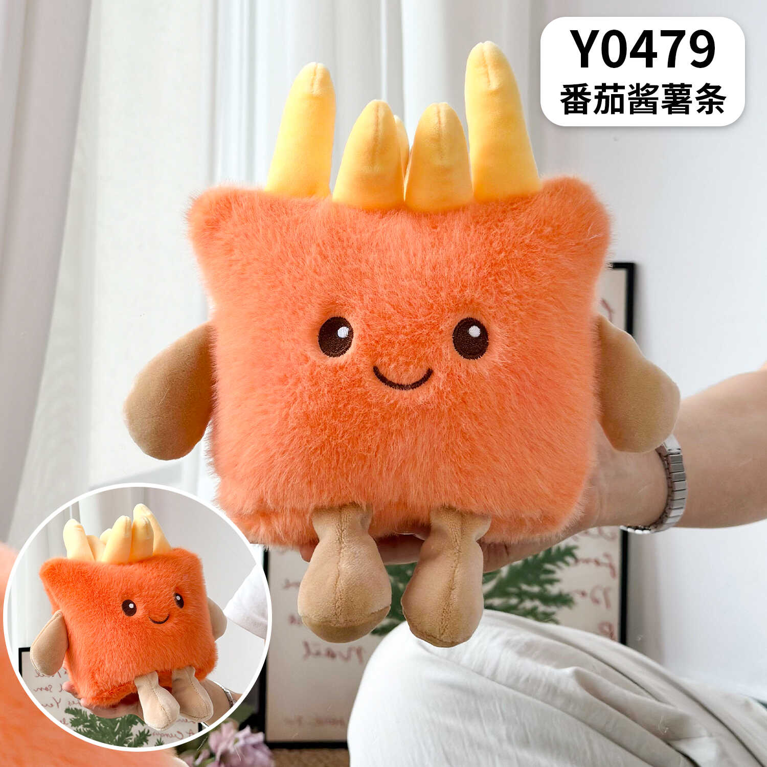 Y0479