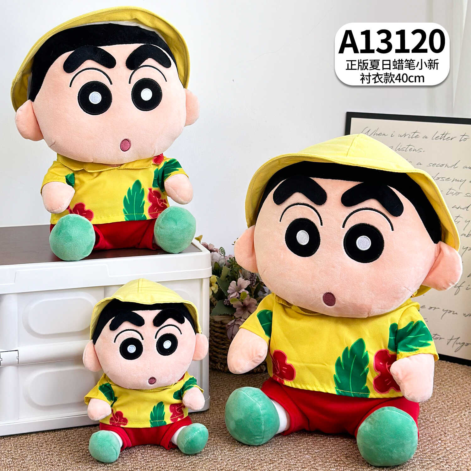 A13120