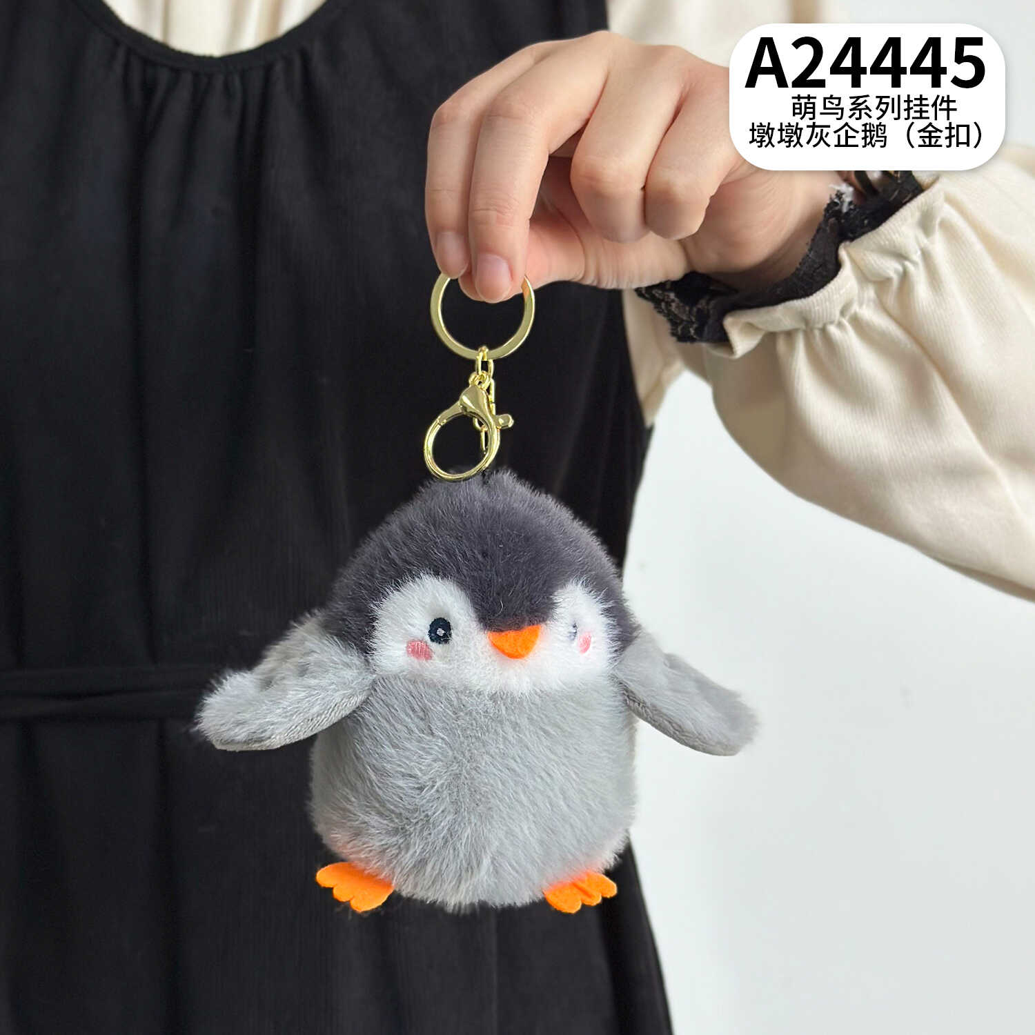 A24445