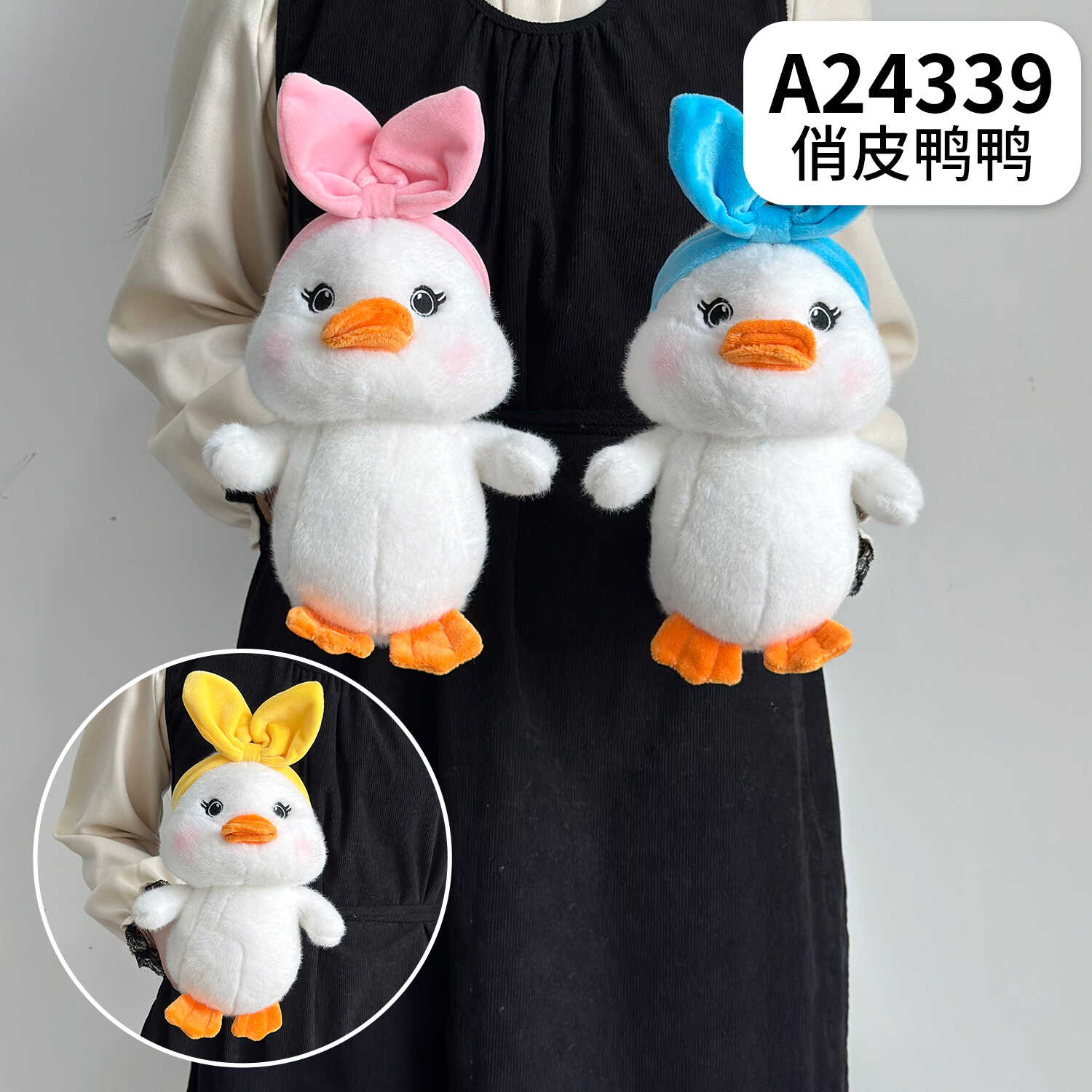 A24339