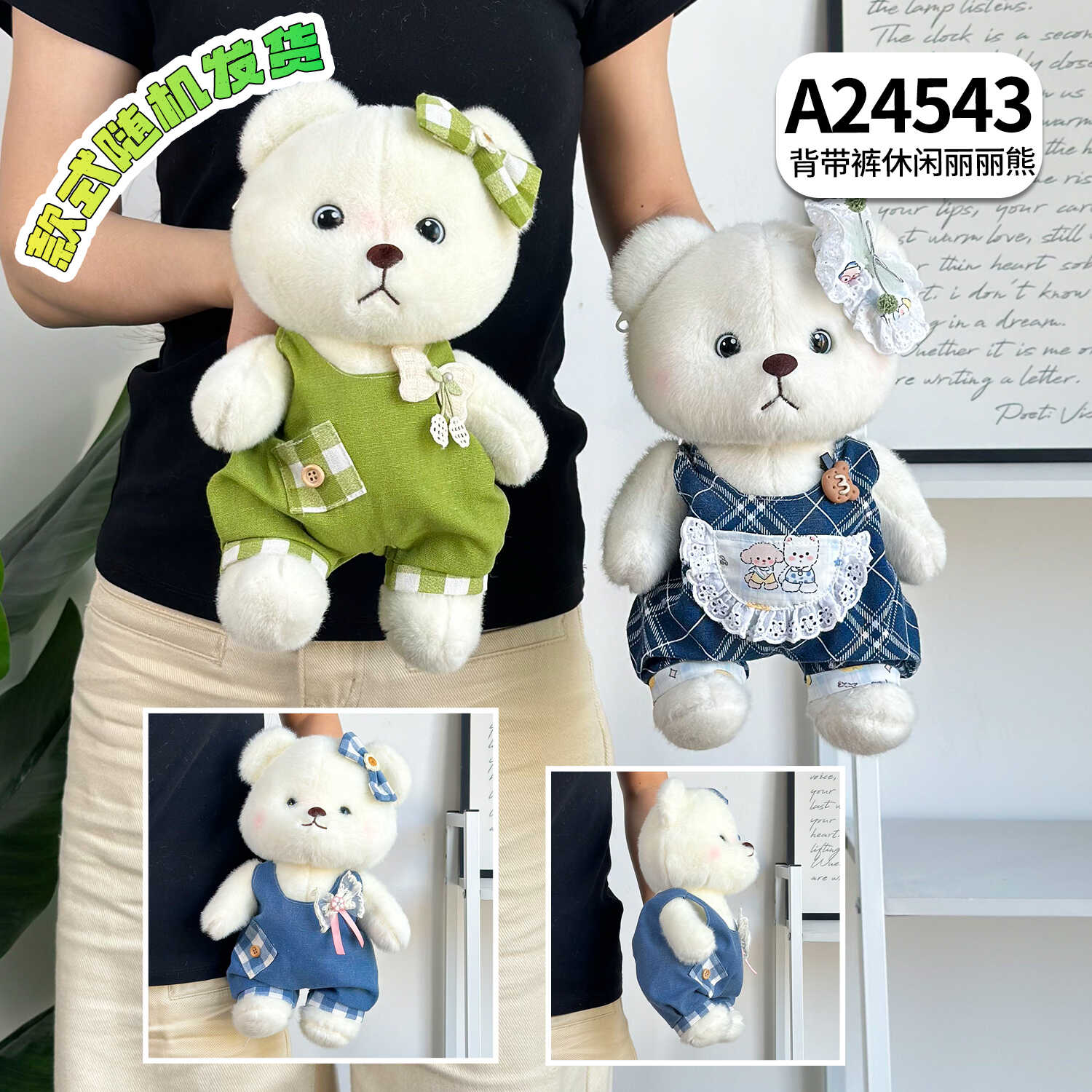A24543