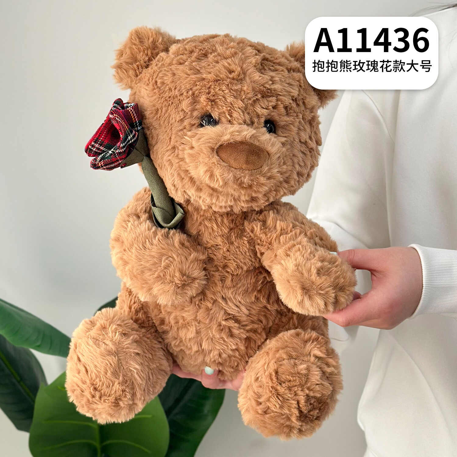 A11436