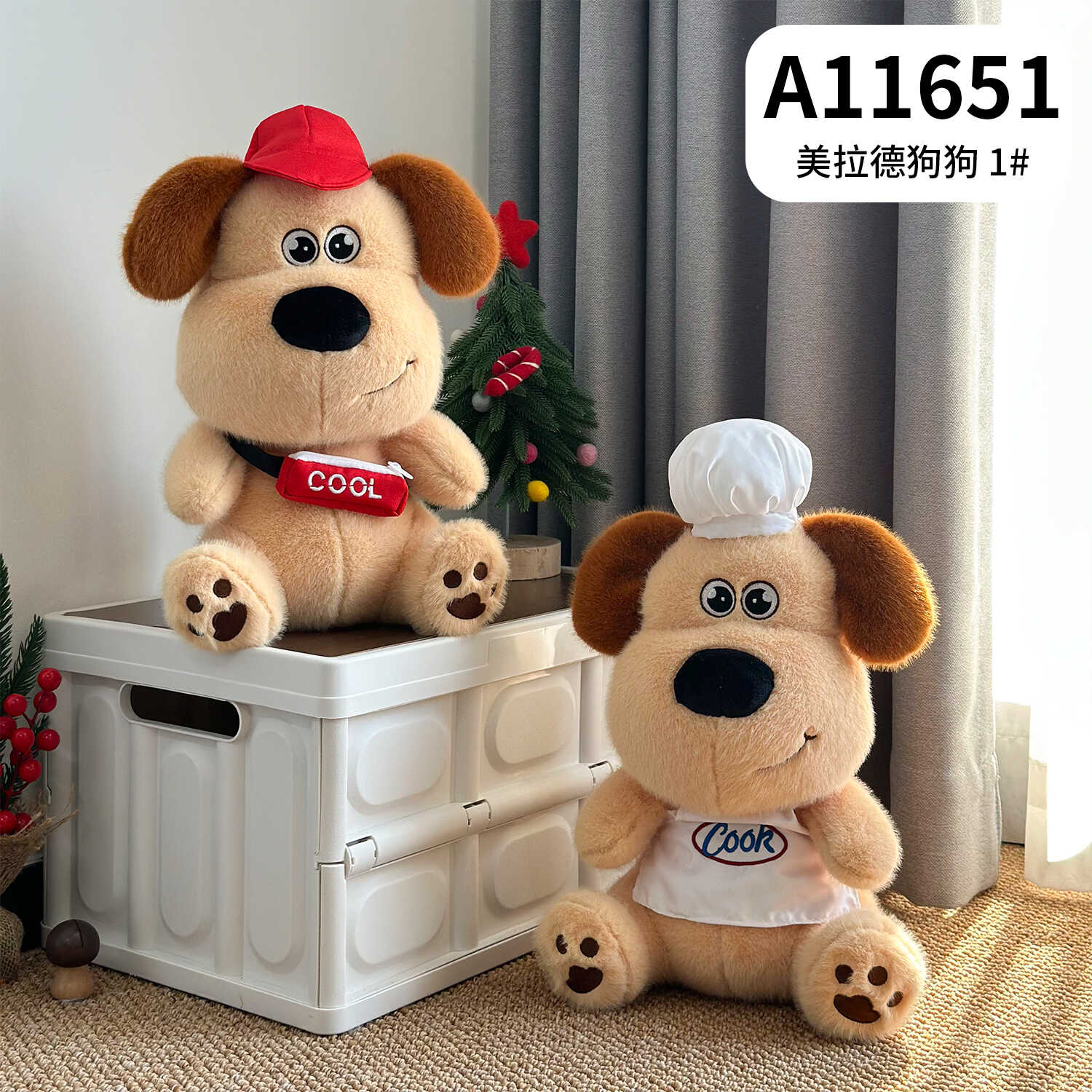A11651