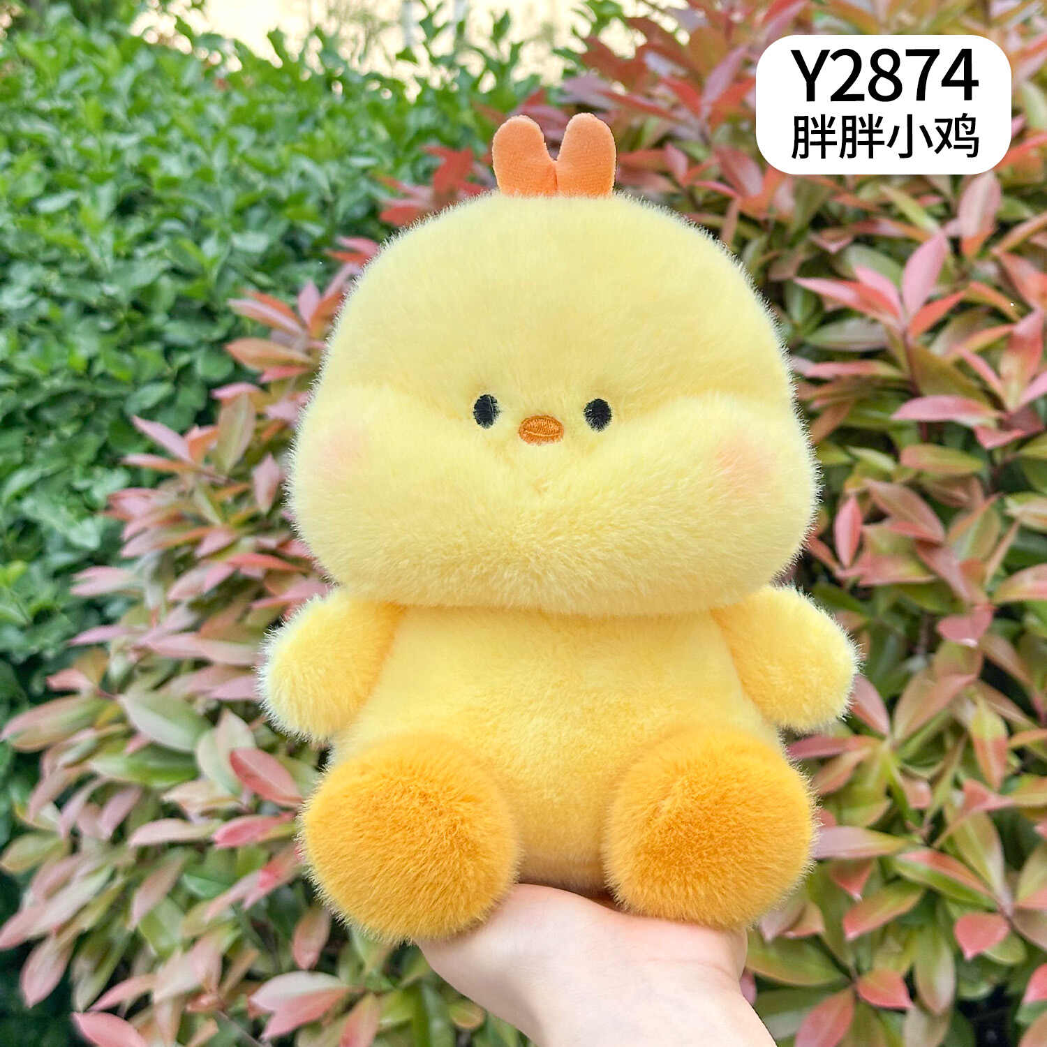Y2874