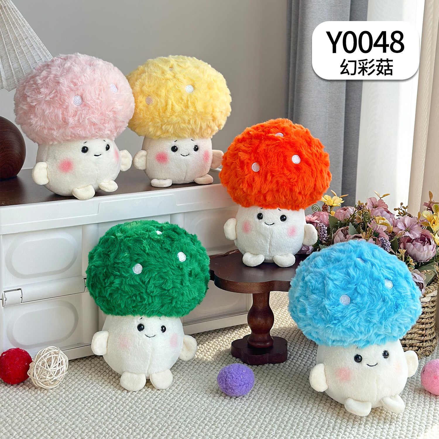 Y0048