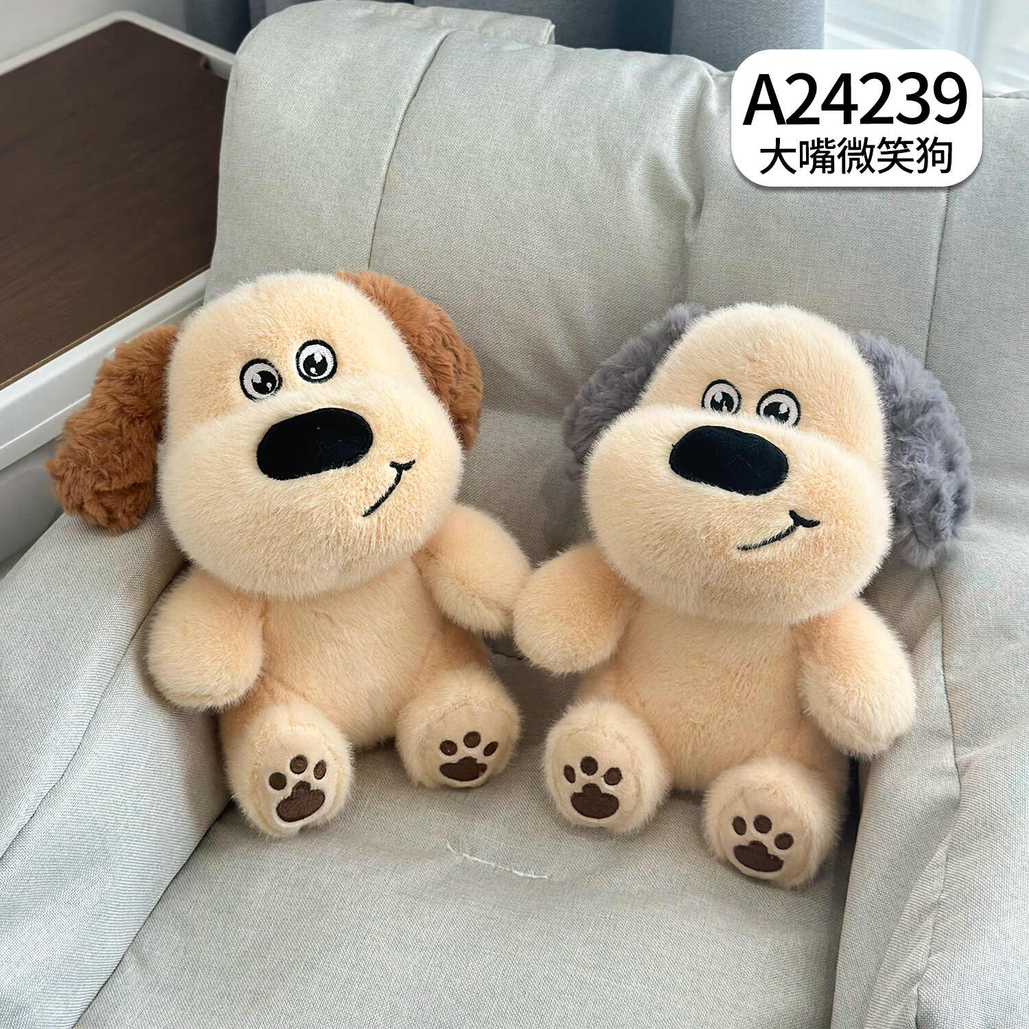 A24239