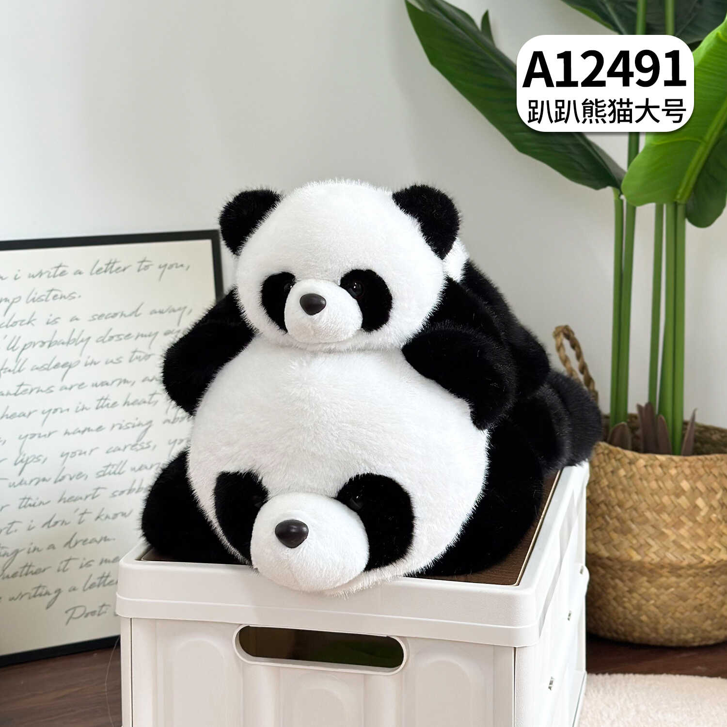 A12491