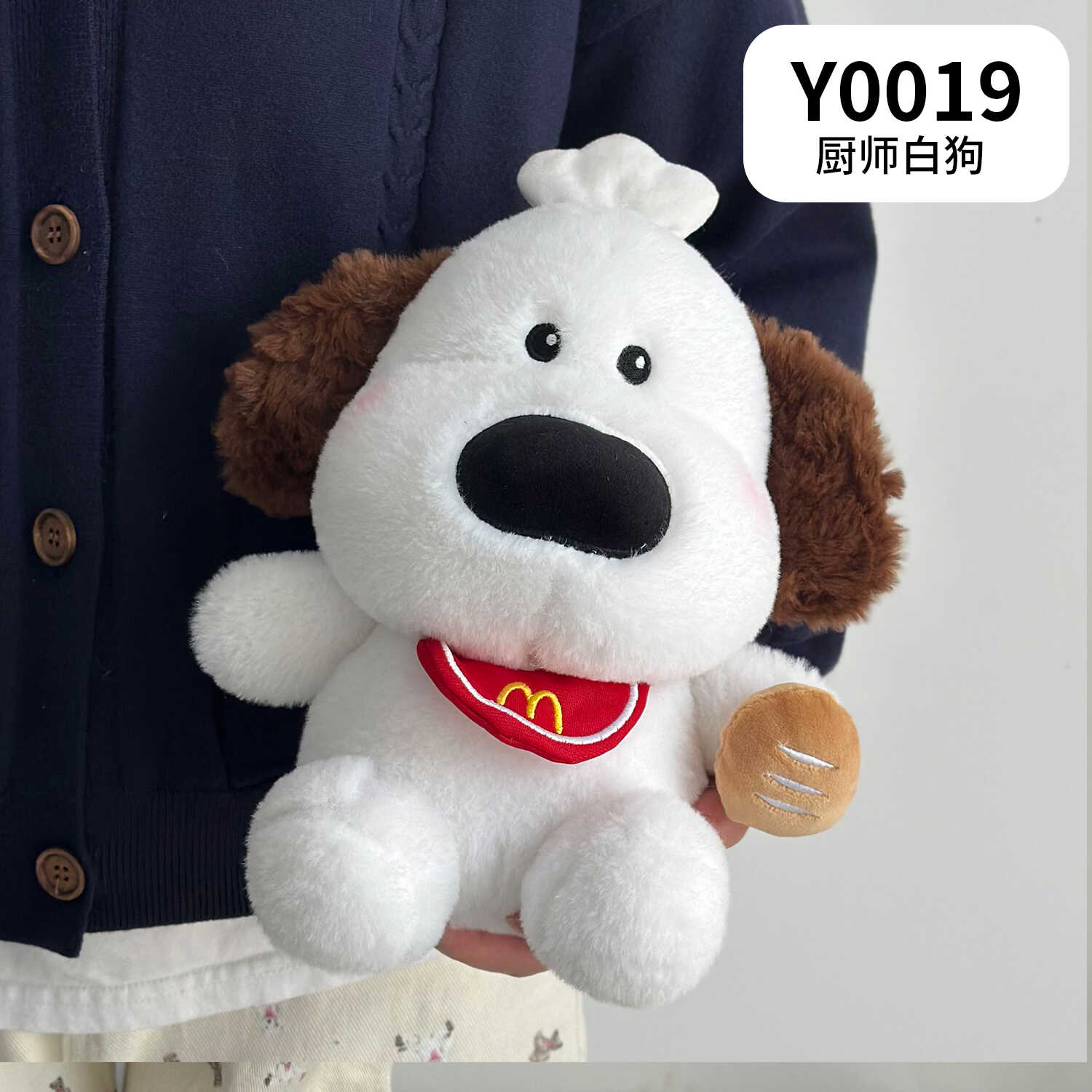 Y0019