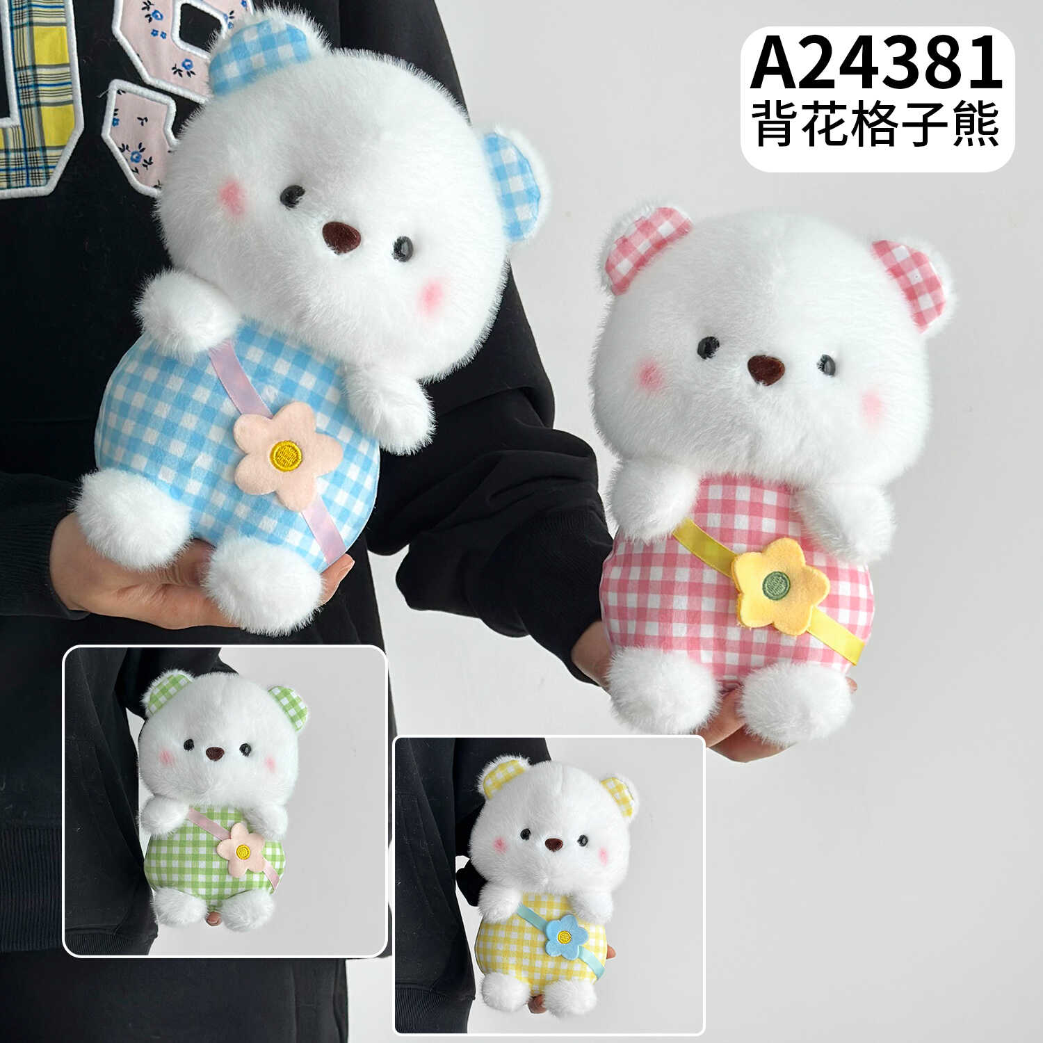 A24381