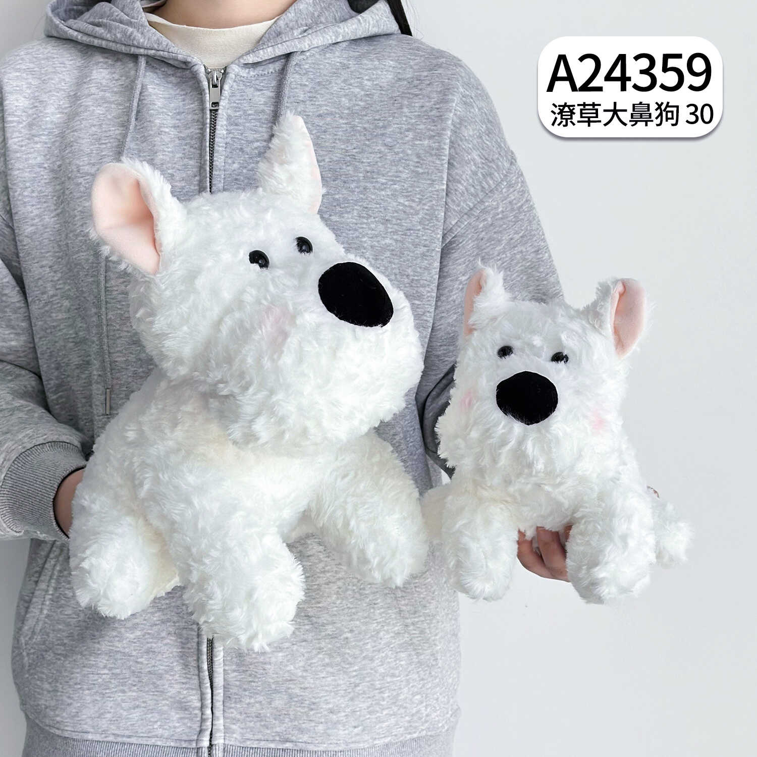 A24359
