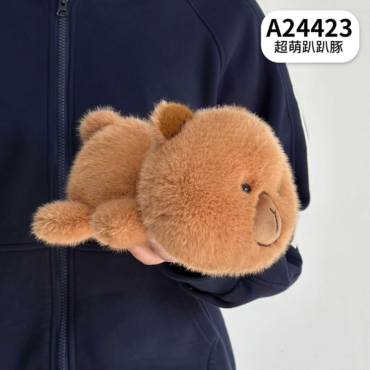 A24423