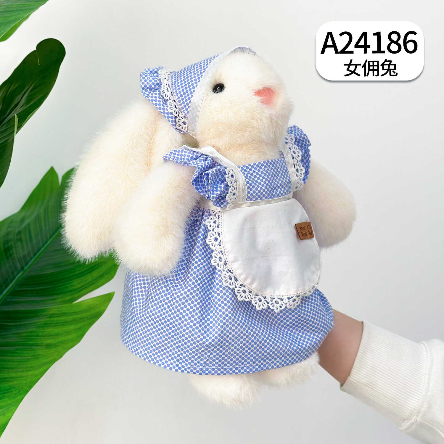 A24186