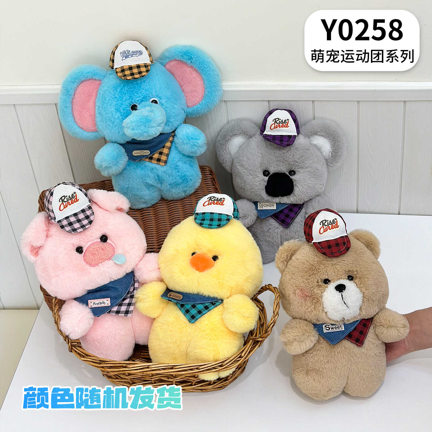 Y0258