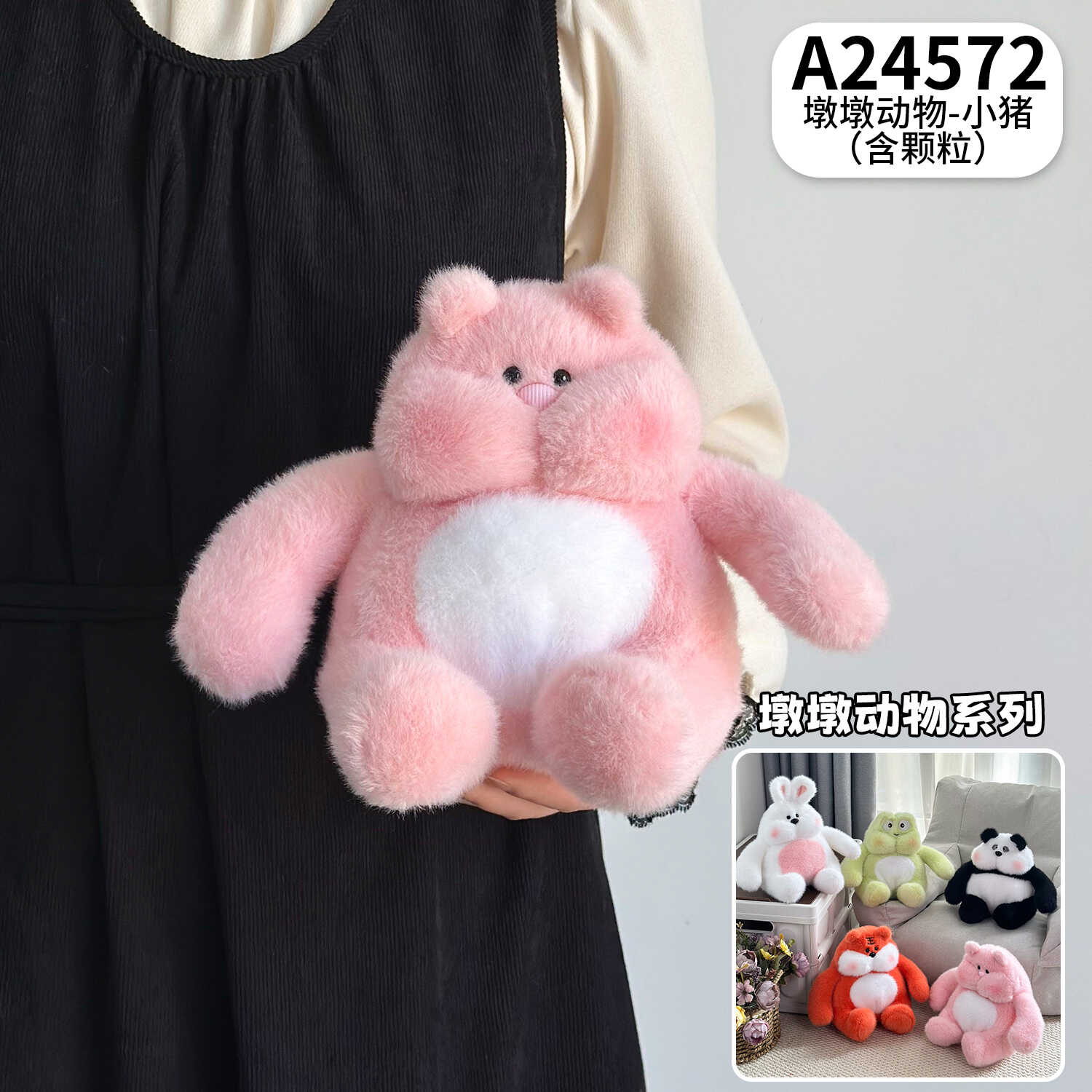 A24572