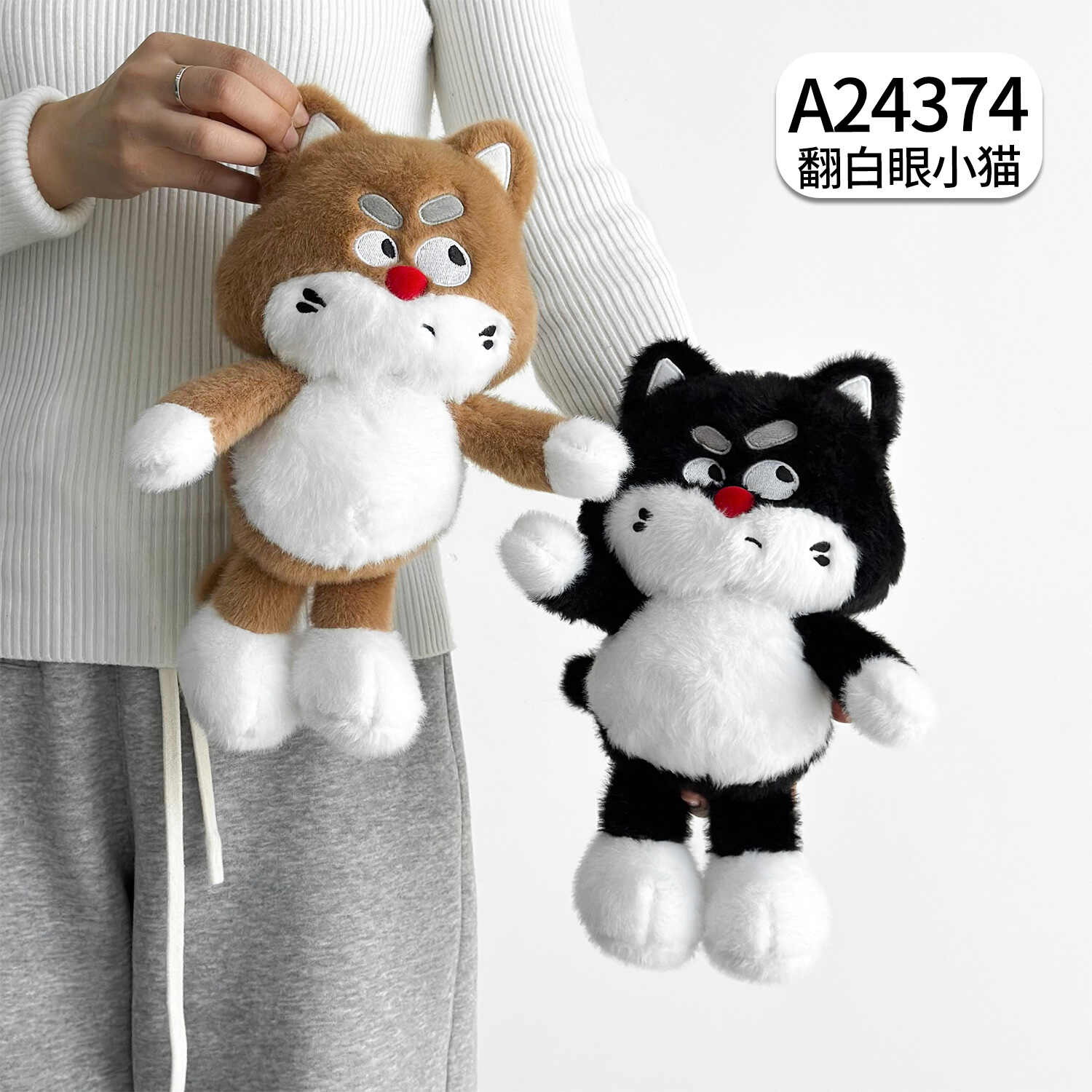 A24374