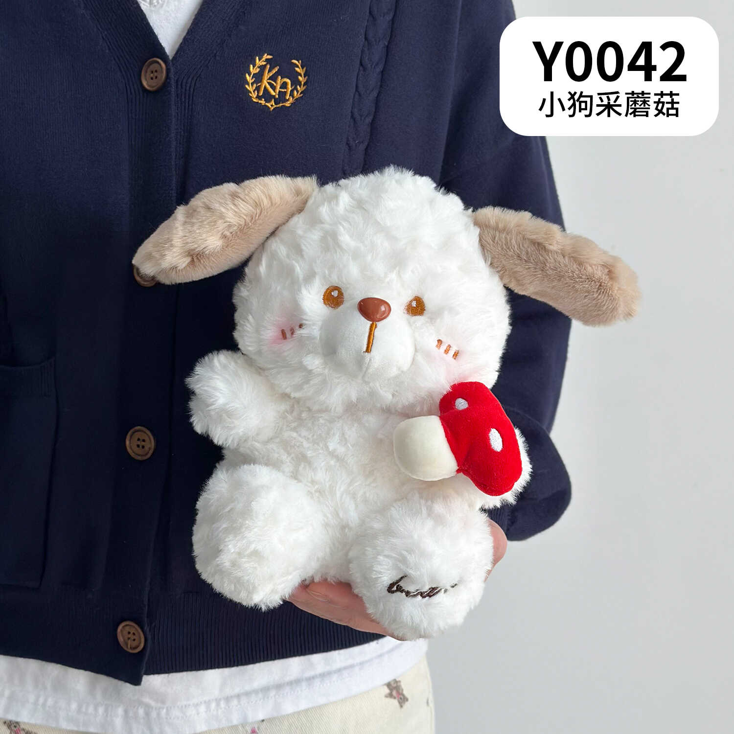 Y0042