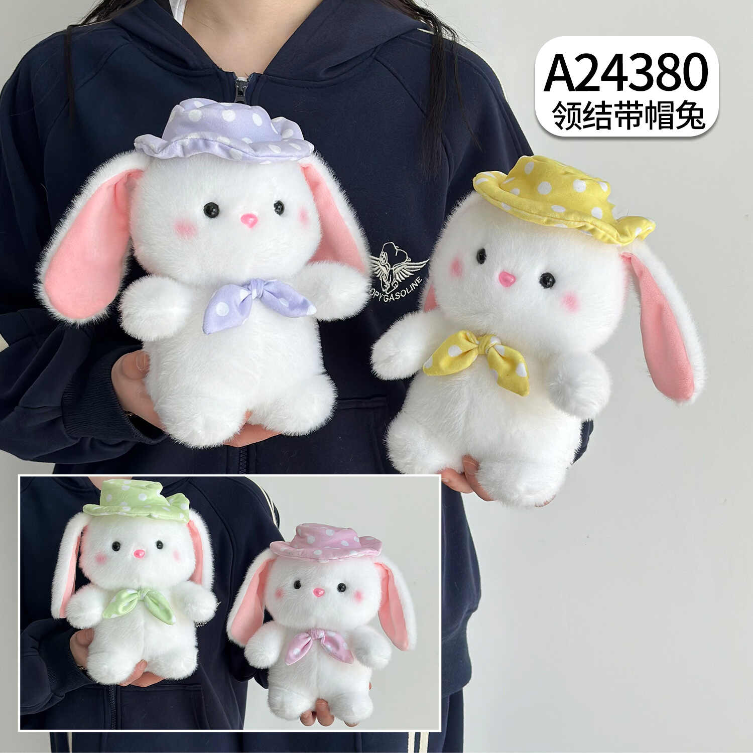 A24380
