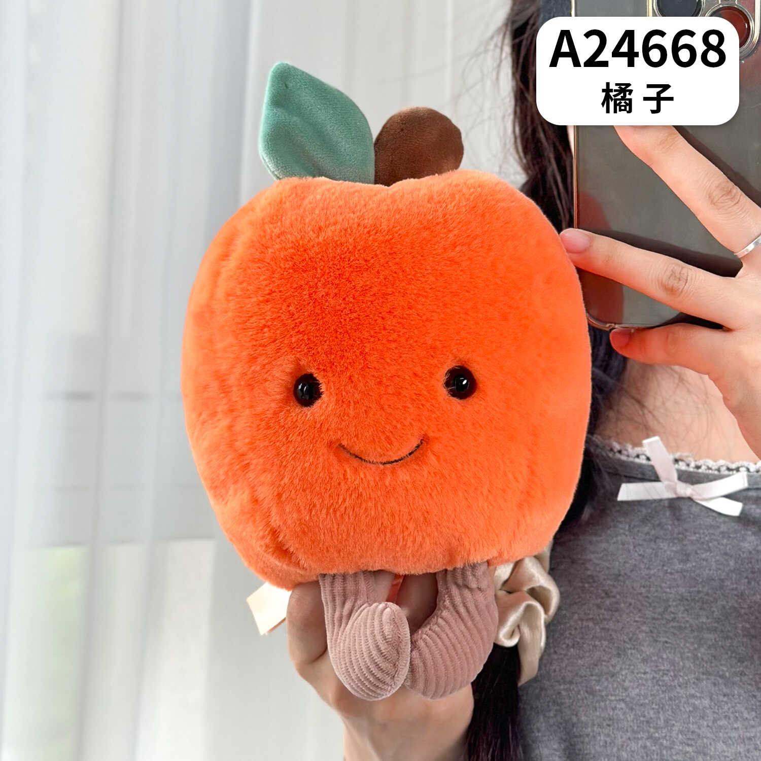 A24668