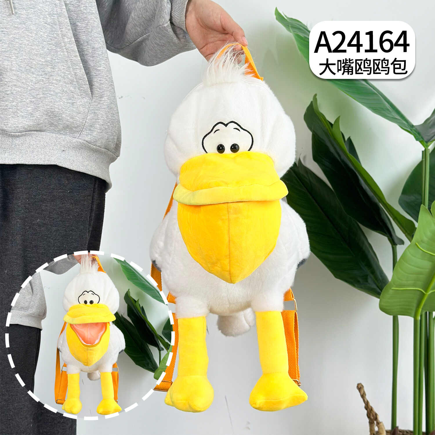 A24164
