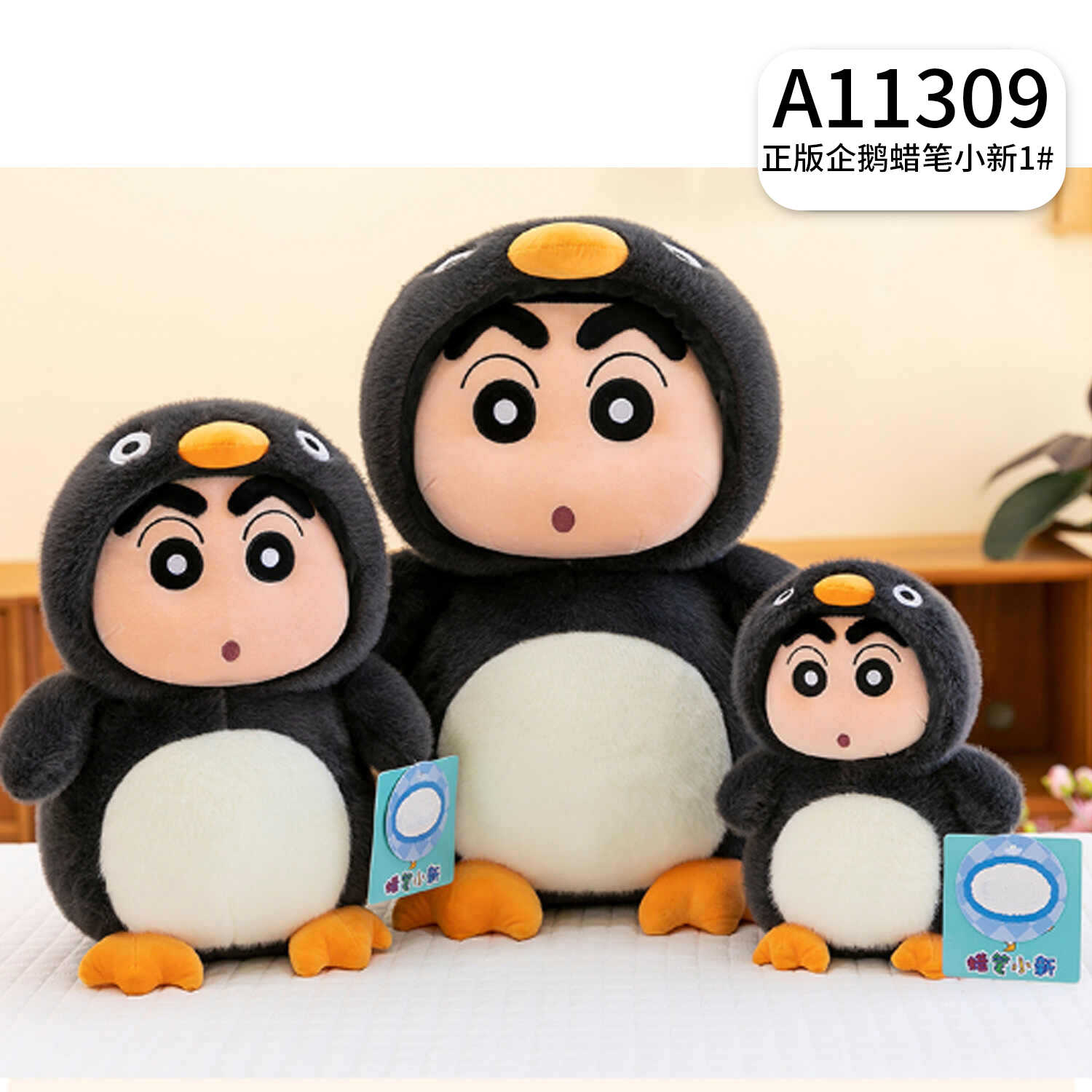A11309