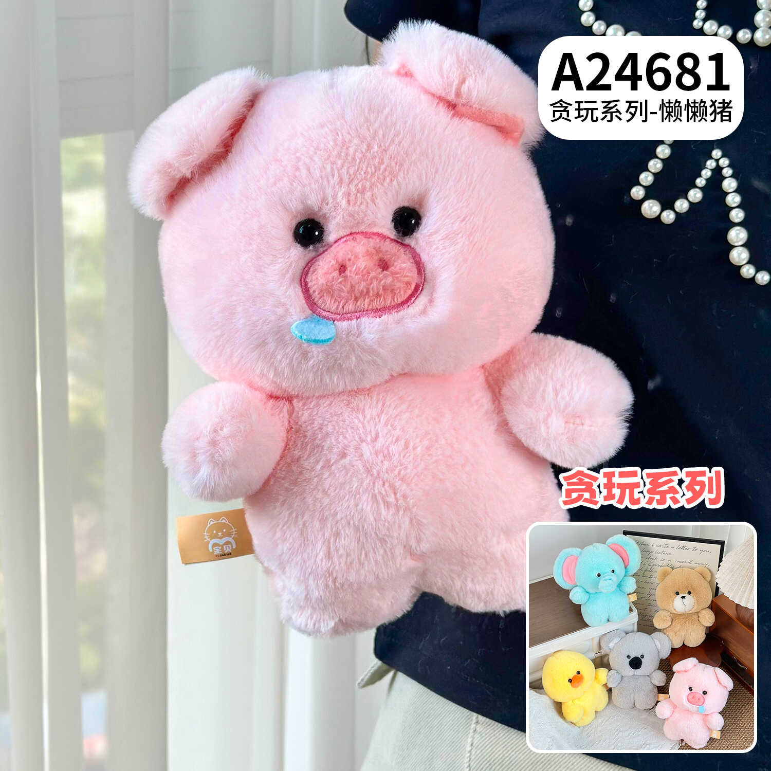 A24681