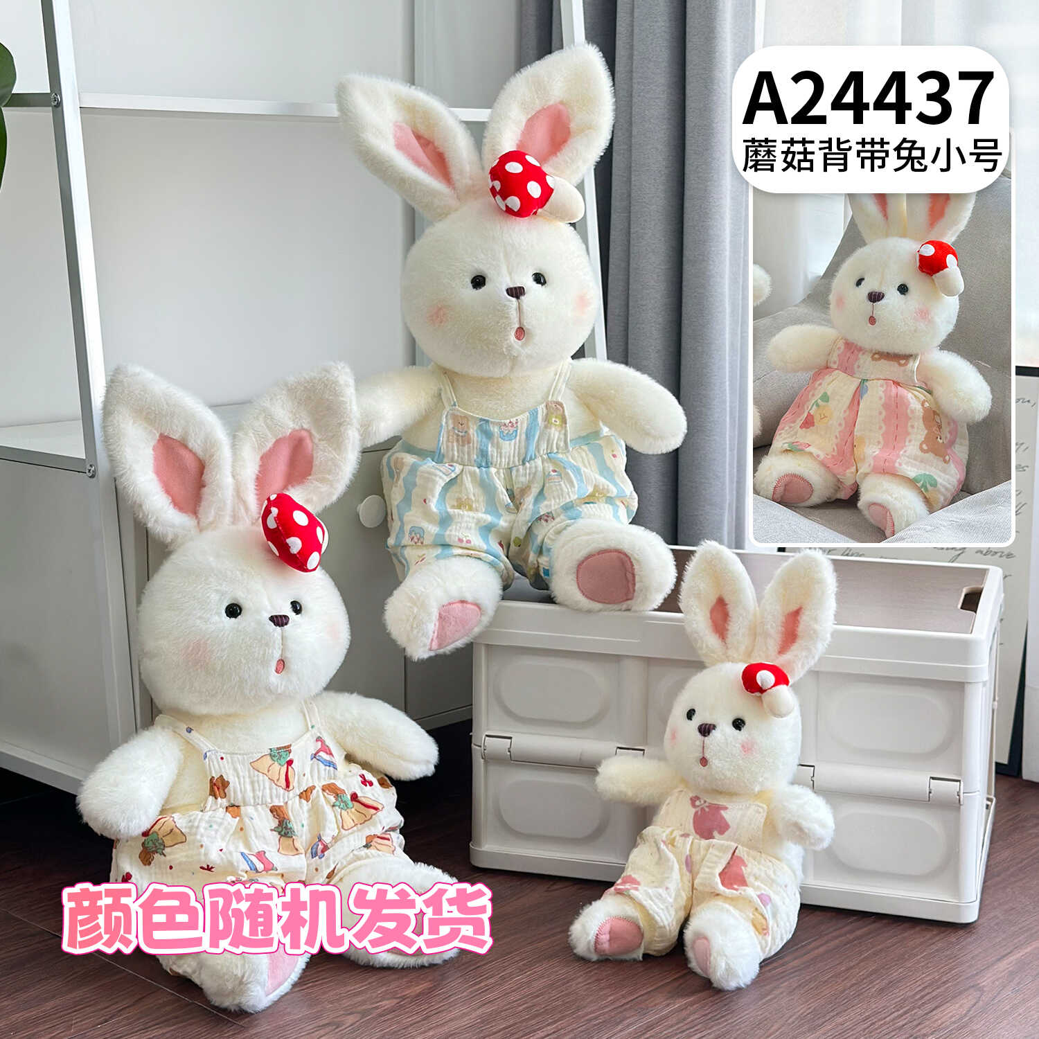A24437