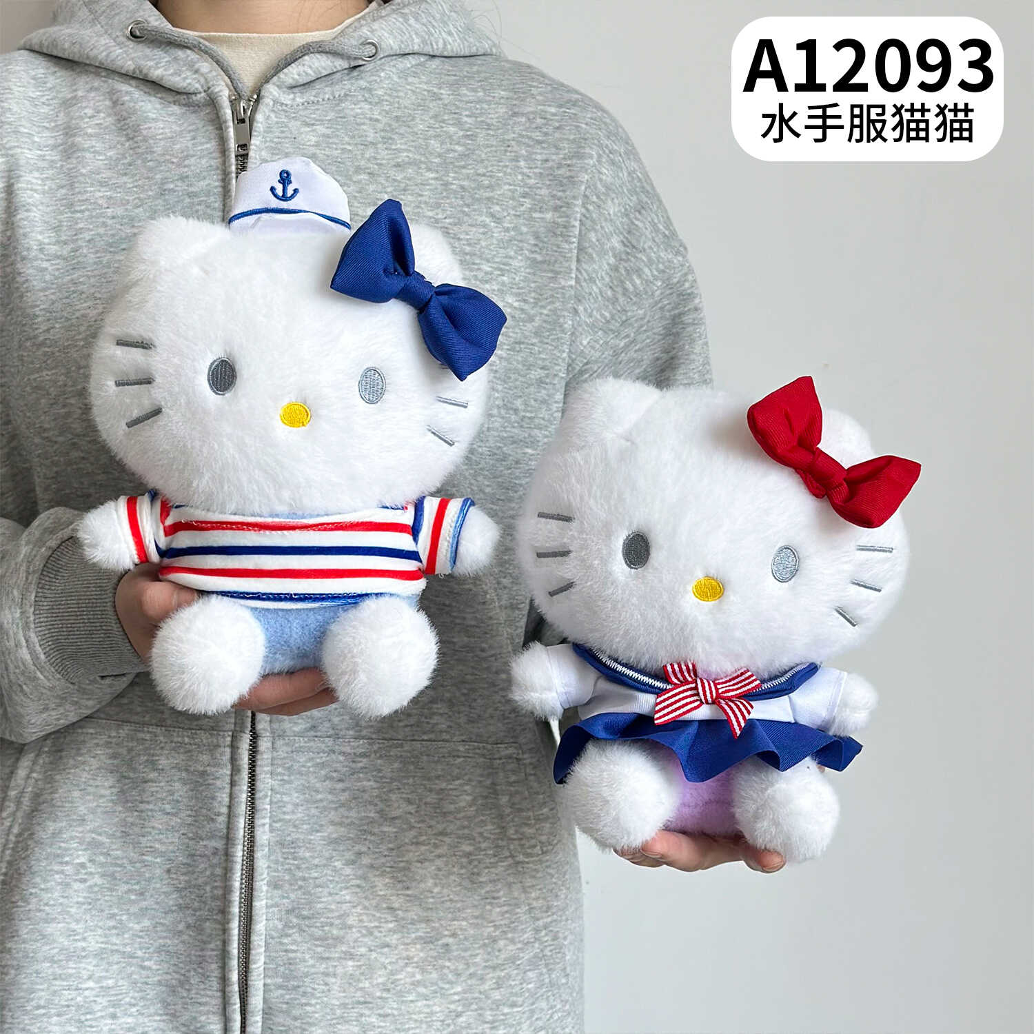 A12093